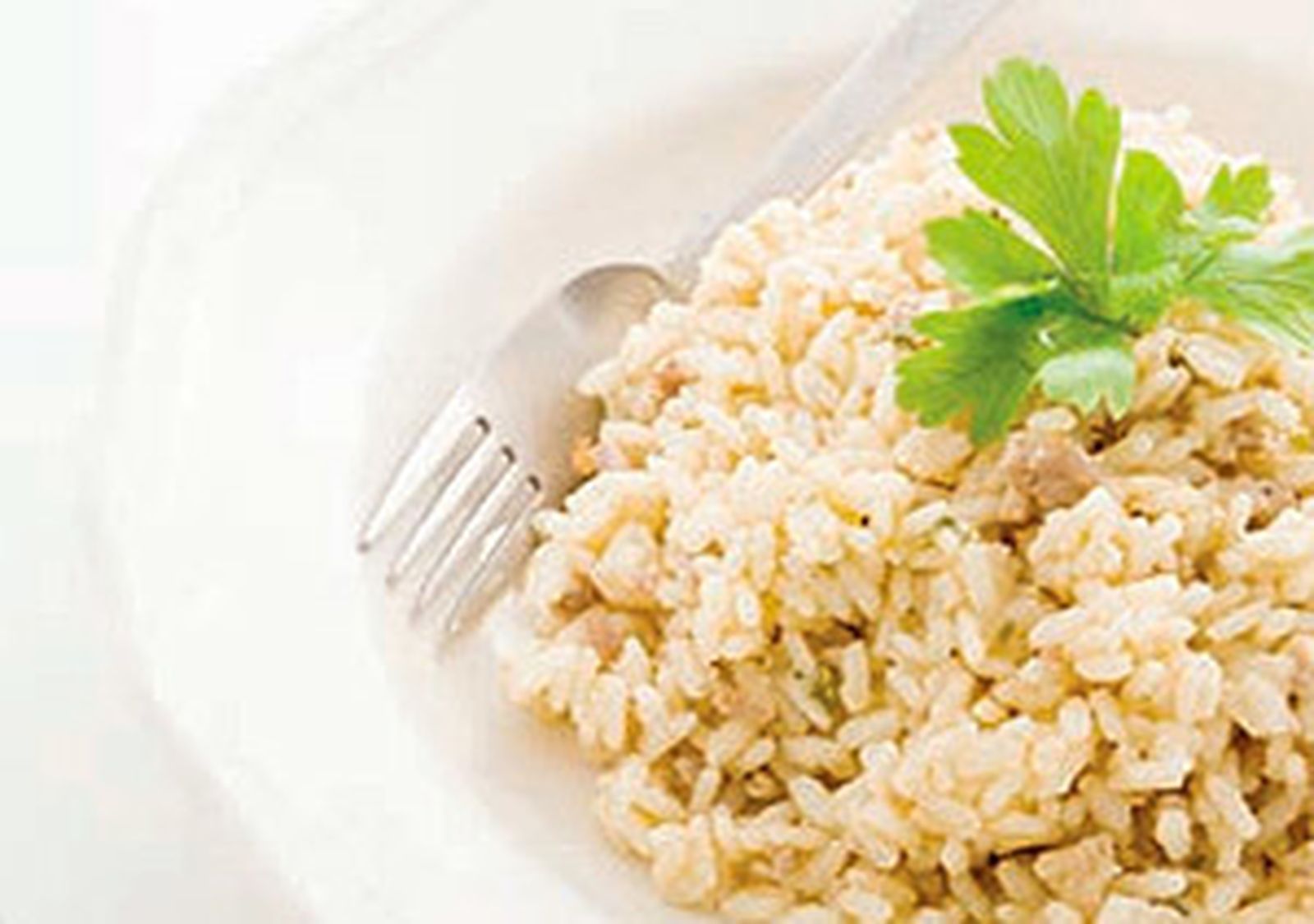 Plato de arroz