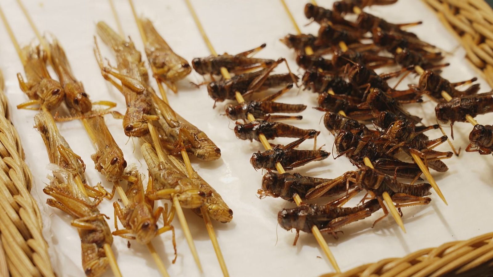 Brochetas de insectos en Shanghái, China