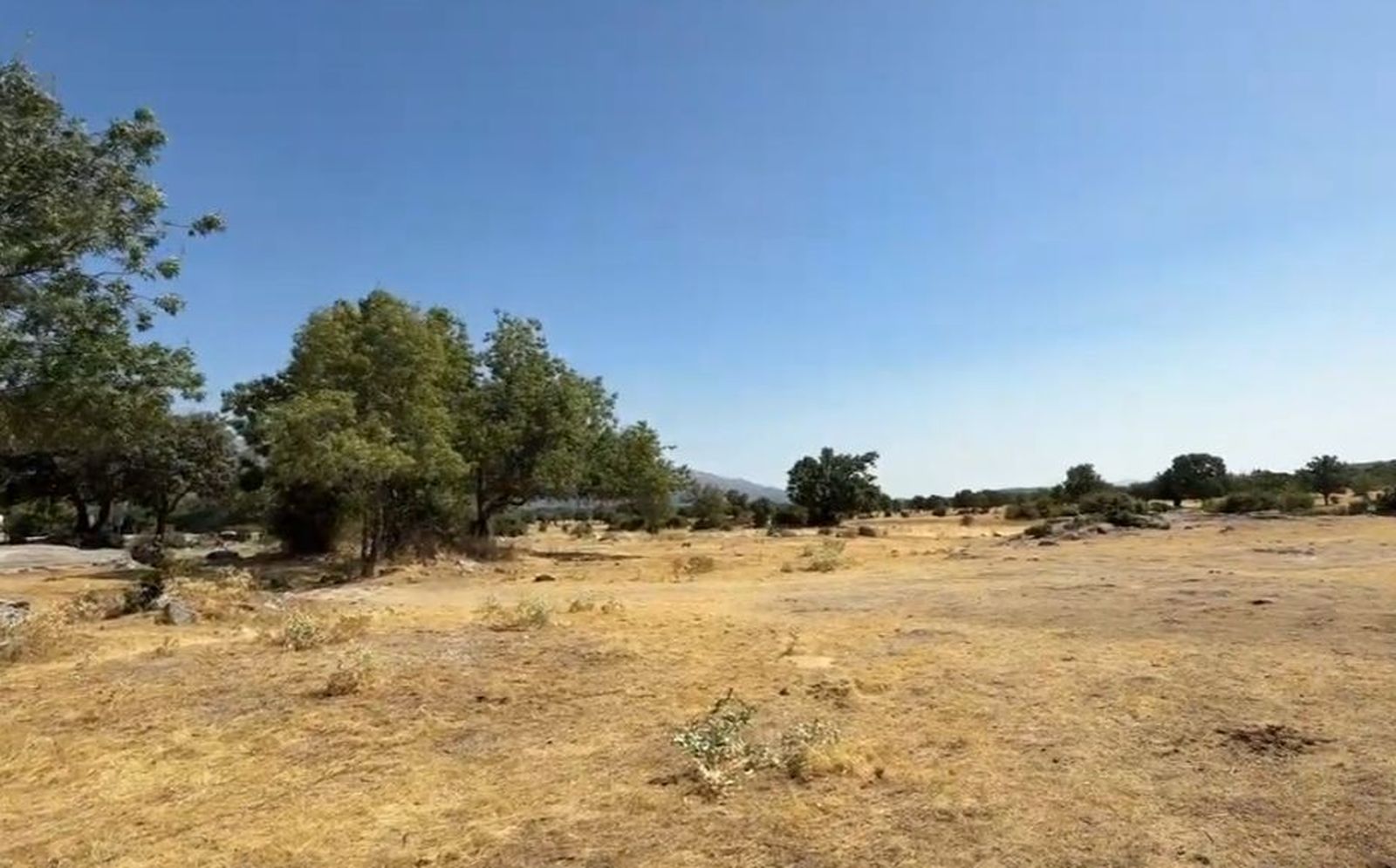 Dehesa Vieja de Moralzarzal