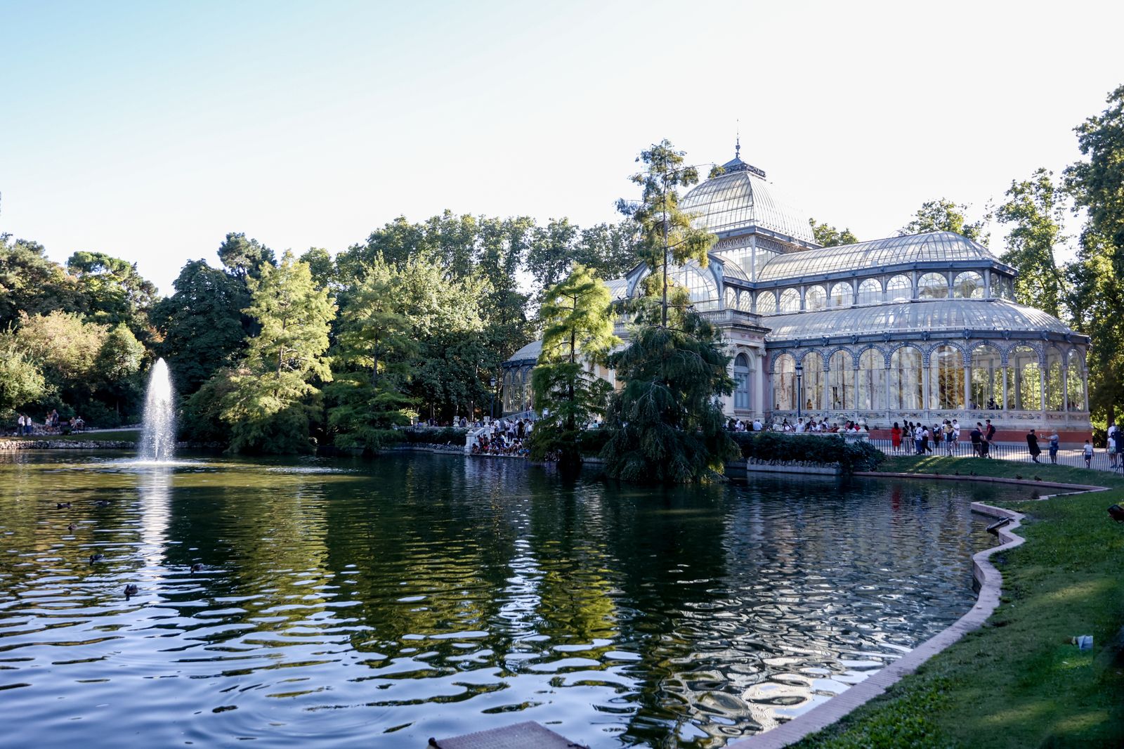 Un paseo para huir del calor bajo la sombra de los 15 Árboles Singulares de Retiro, Recoletos y El Prado