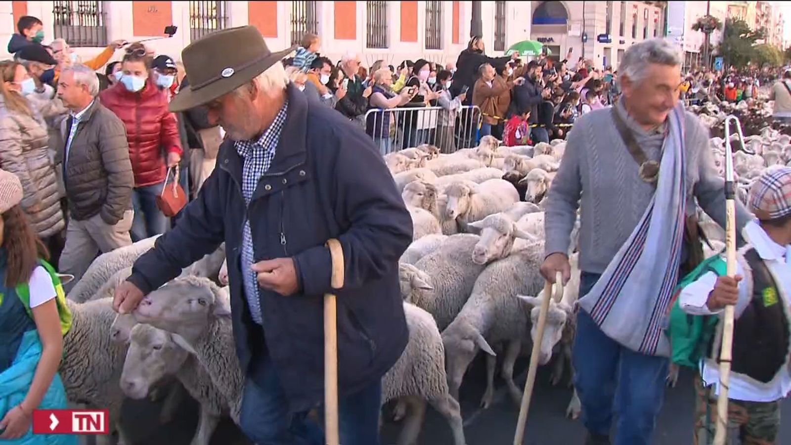 Trashumancia en Madrid