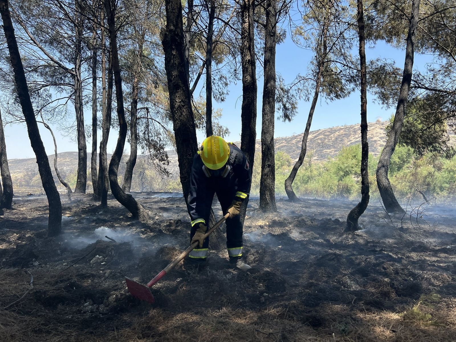 Incendio Aranjuez