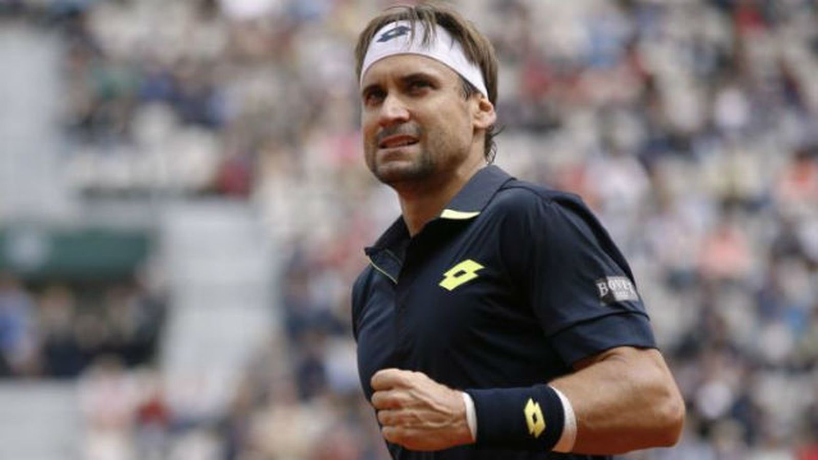 David Ferrer