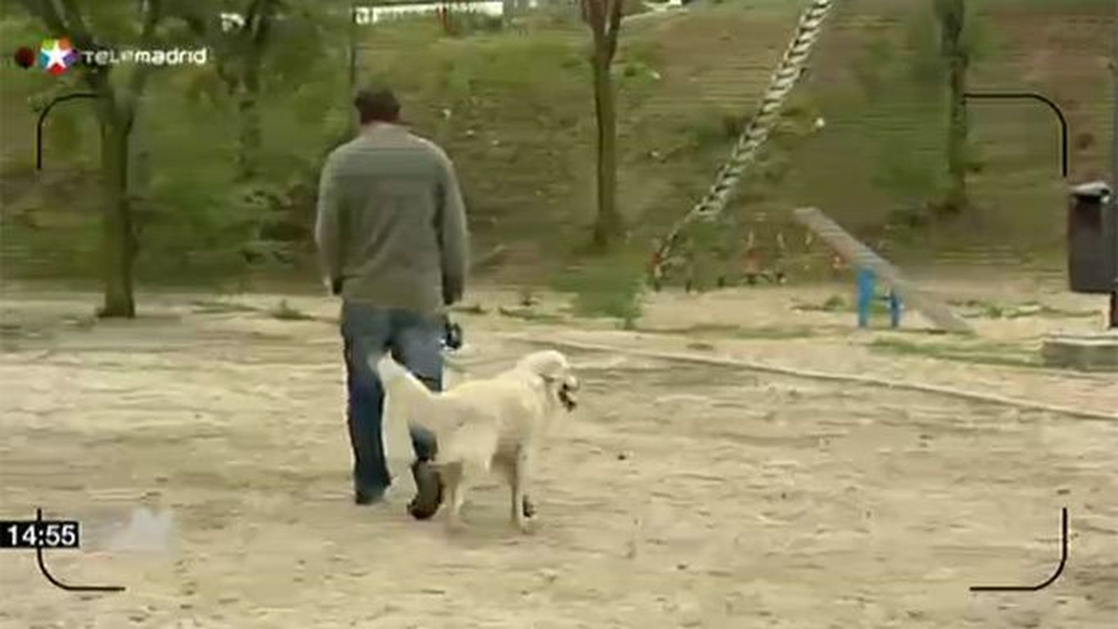 Getafe contrata vigilantes para identificar a los dueños de perros que no recojan los excrementos