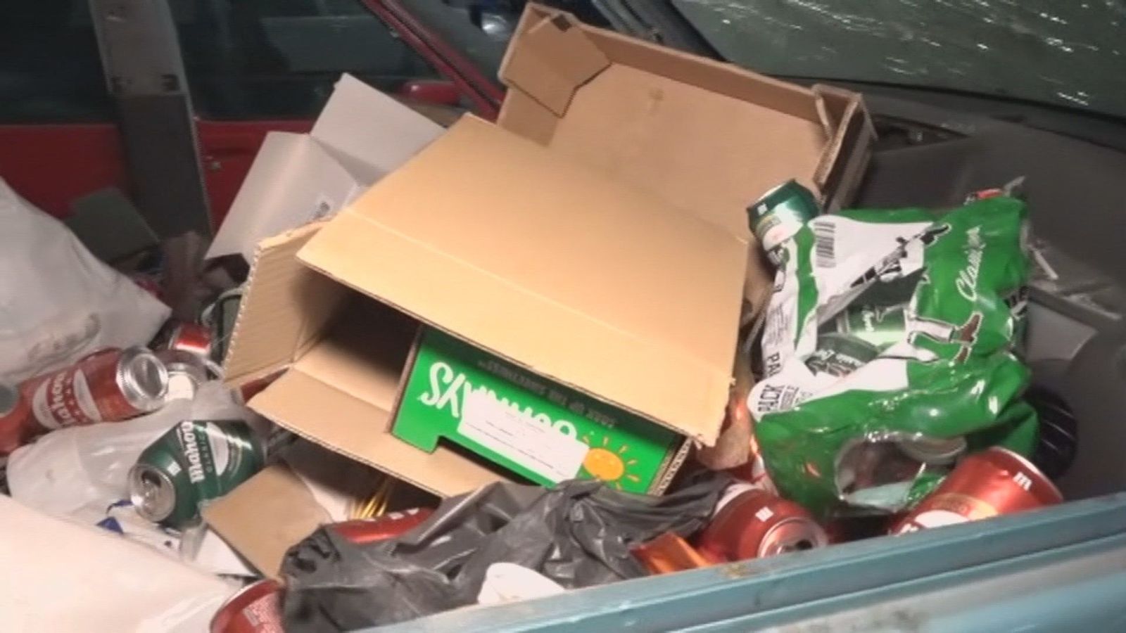 Coche vertedero con plagas de cucarachas, gusanos y hasta ratas, en Sanchinarro