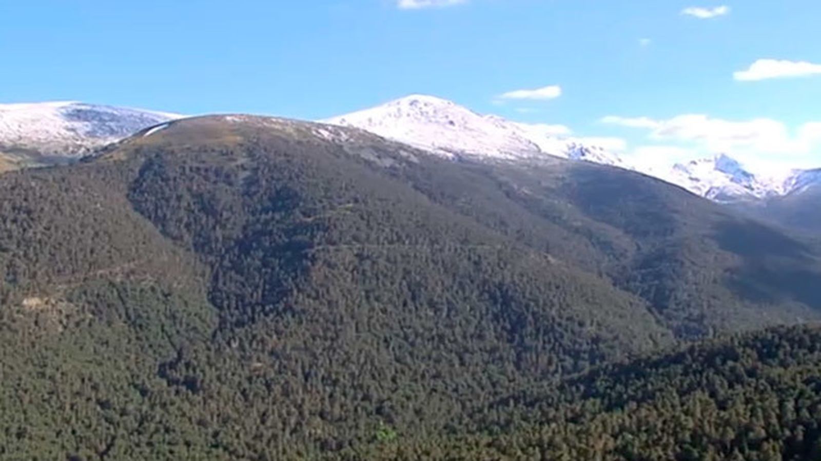 Pinar de Rascafría