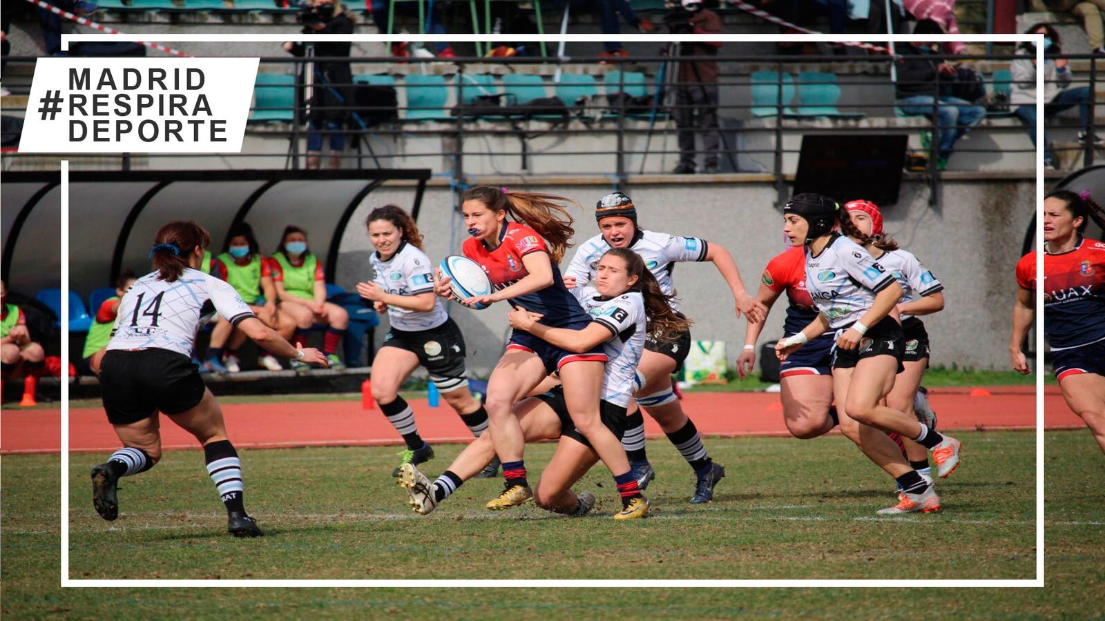 Rugby Majadahonda