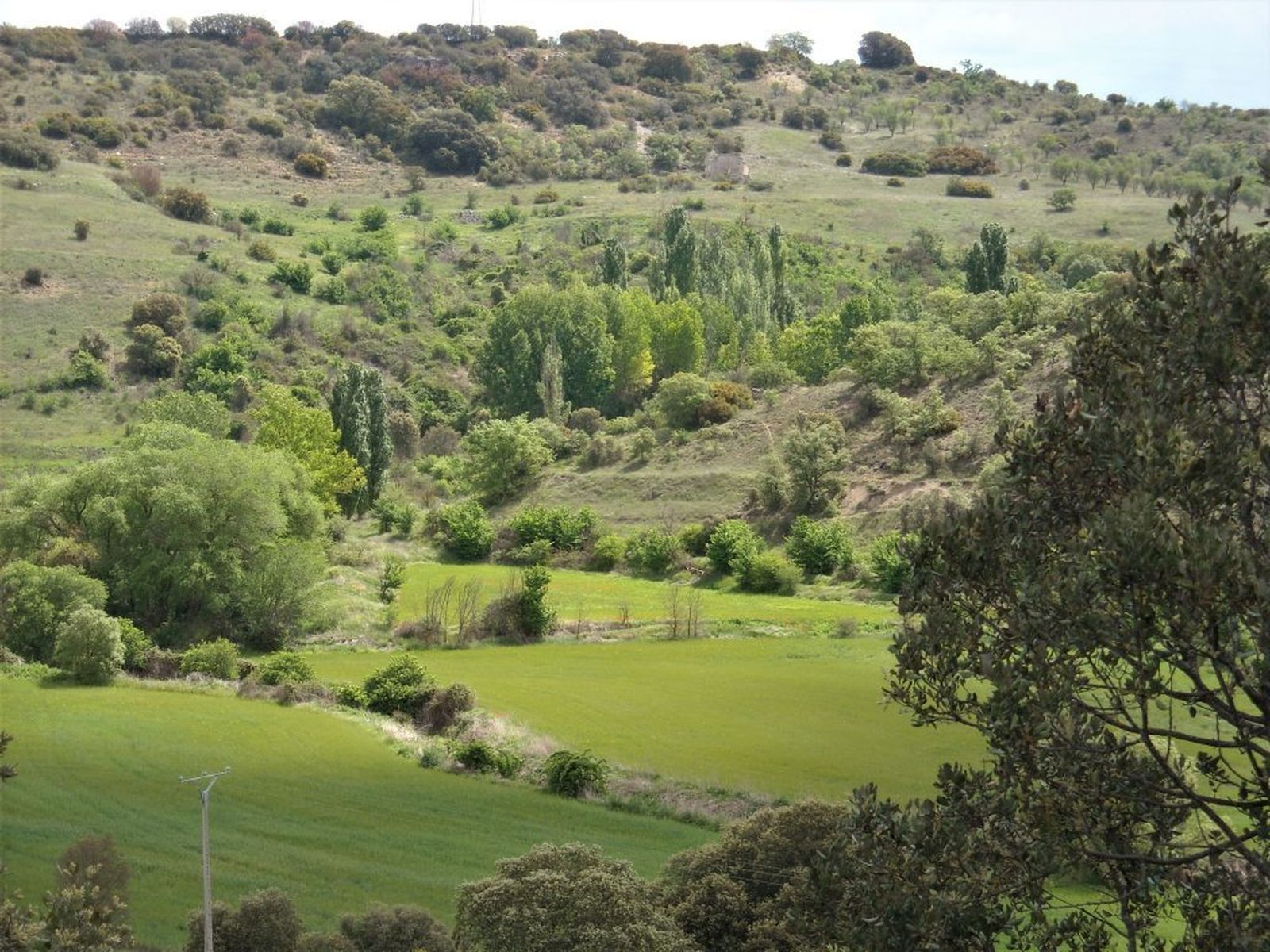 Senda de Valmores, arroyo de la Vega