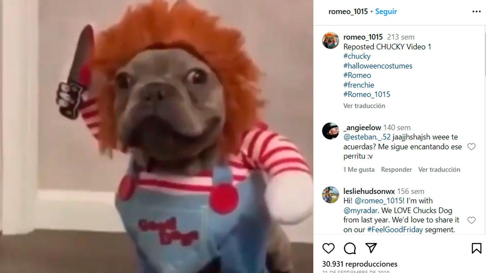 Los disfraces más originales y terroríficos para tu mascota en Halloween