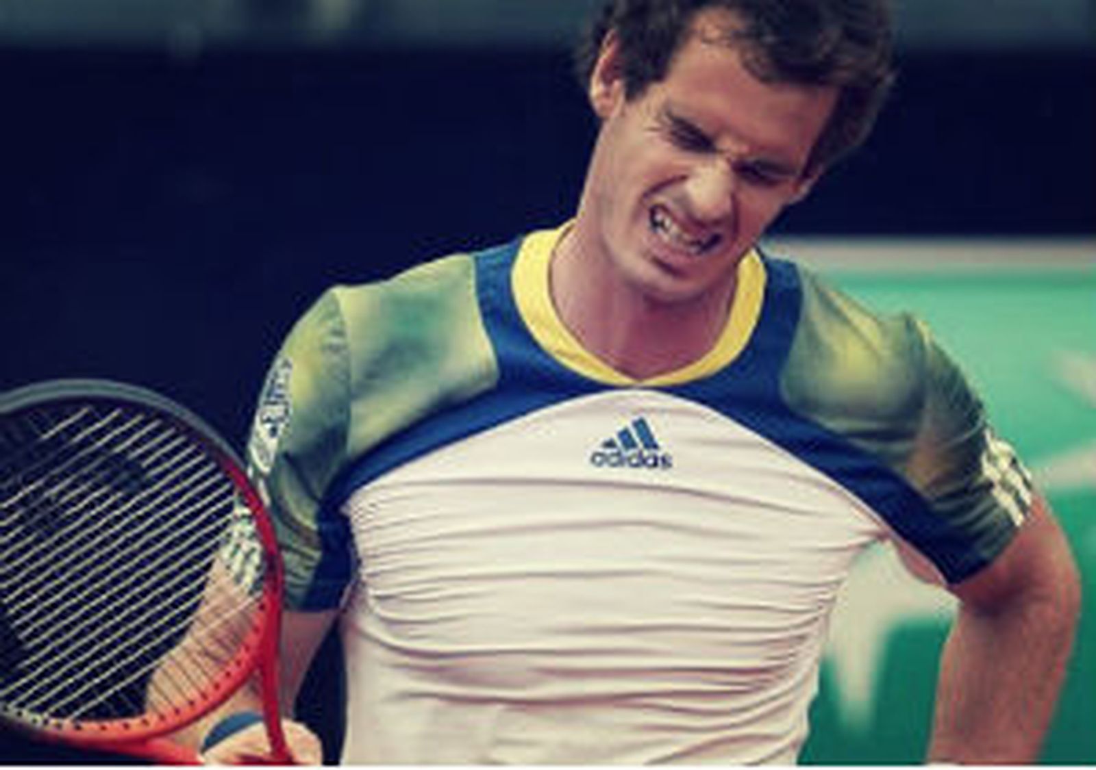 Andy Murray