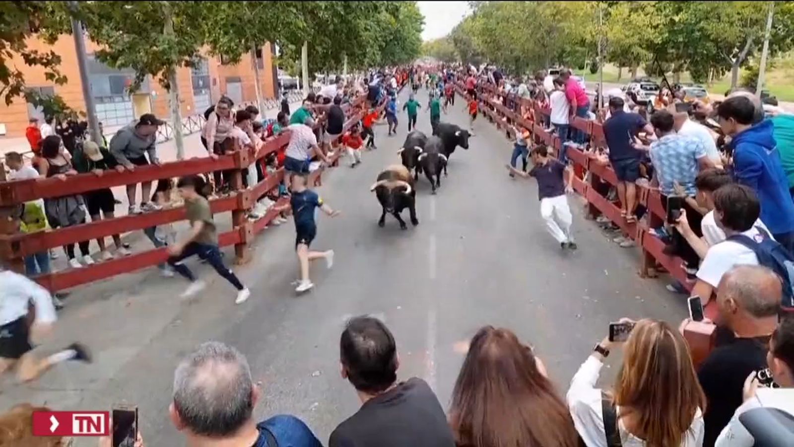 Encierro Alcalá sábado