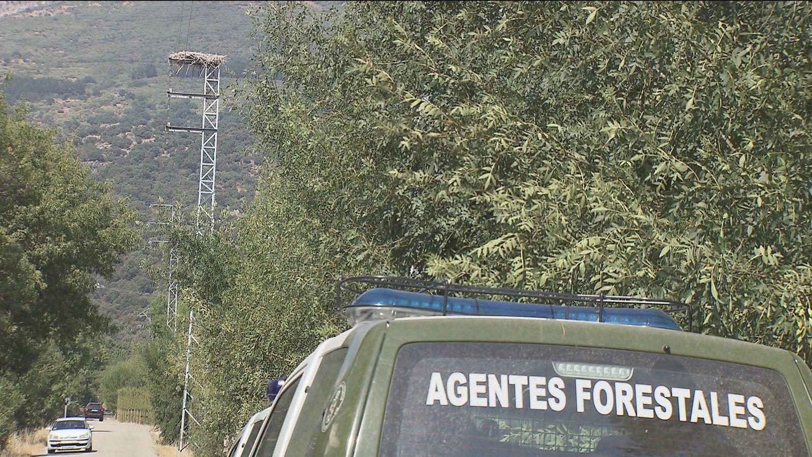 Los agentes forestales revisan los tendidos eléctricos para evitar incendios