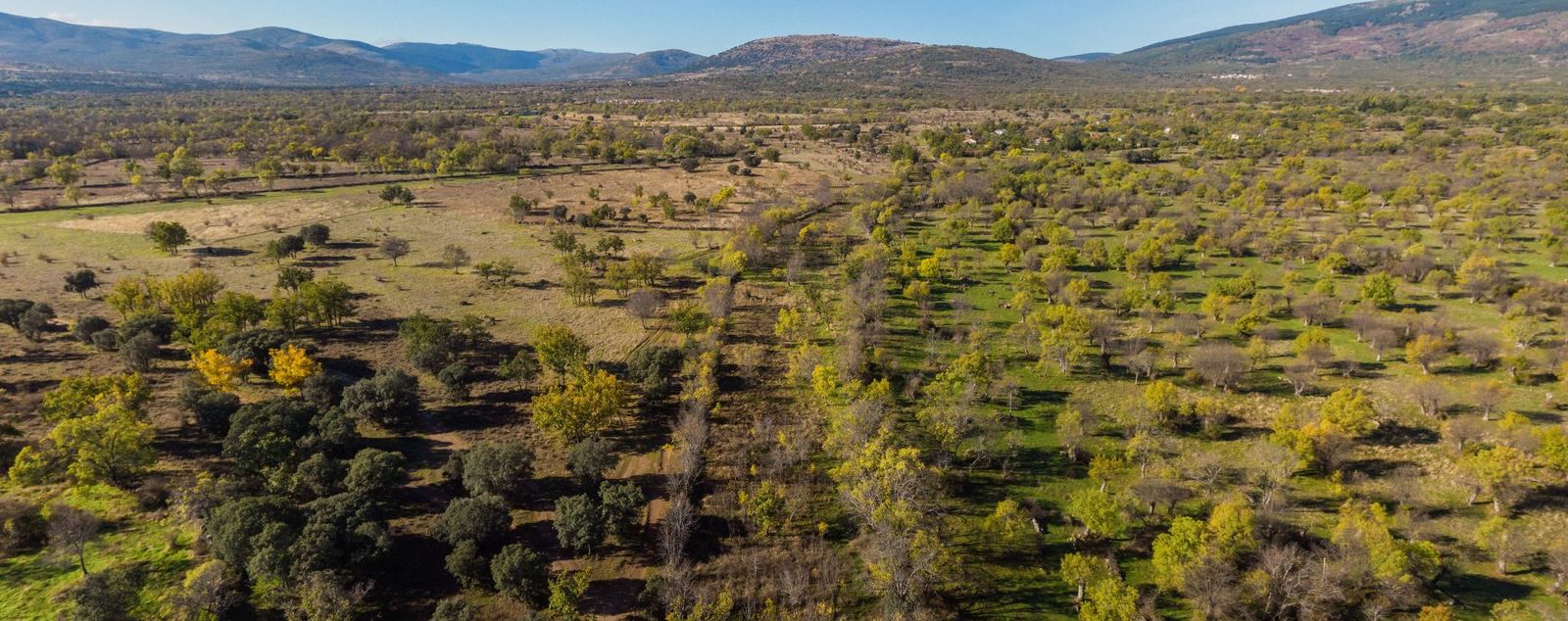 Paisaje de Villavieja del Lozoya