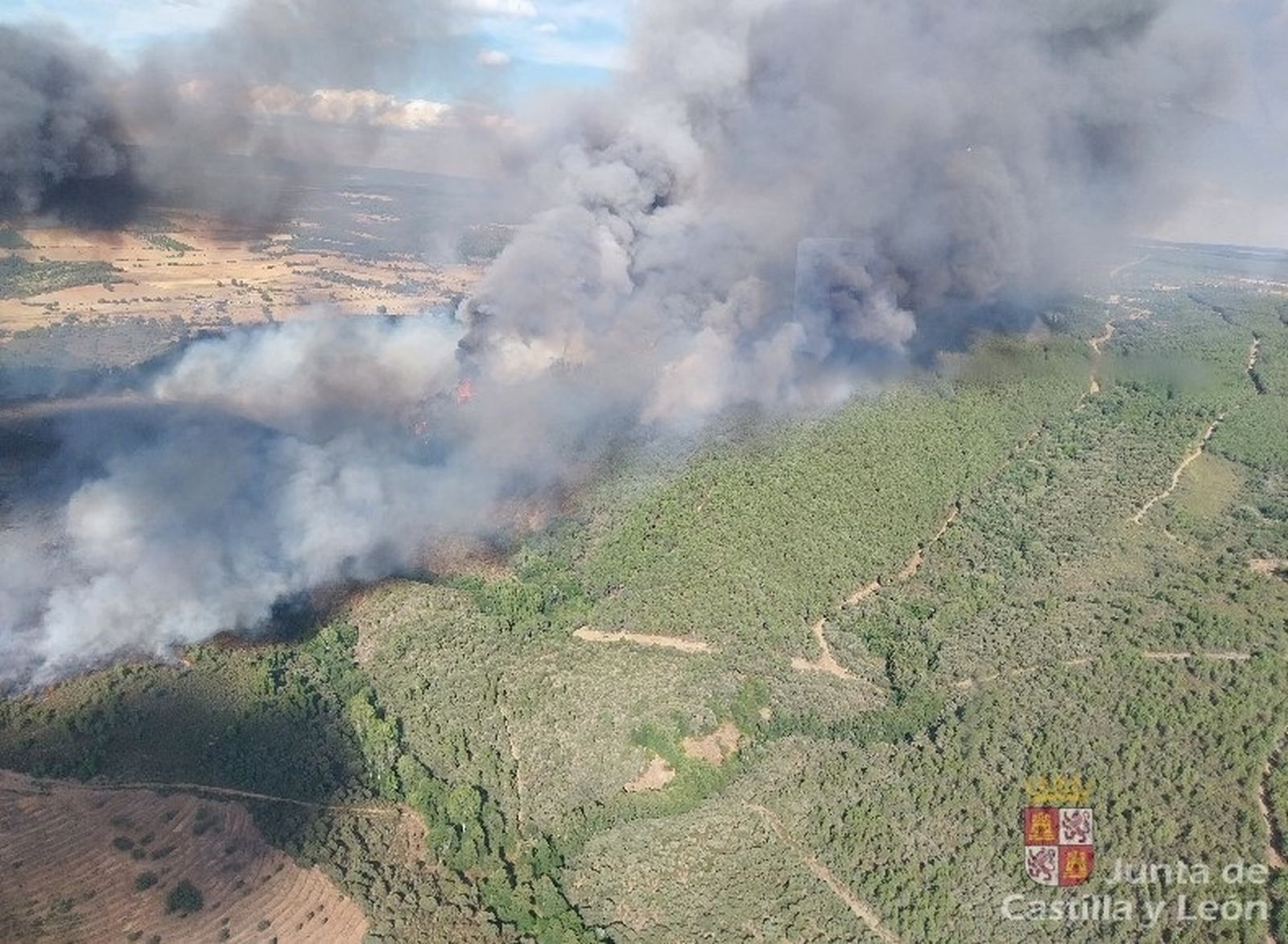 Incendio forestal en Trabazos (Zamora)