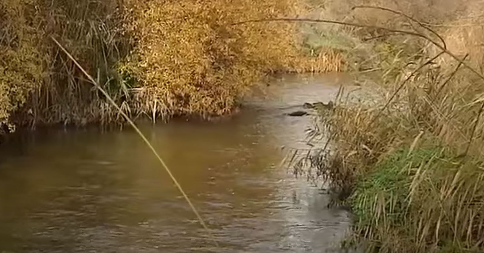 El Río Guadarrama a su paso por la localidad madrileña de Batres