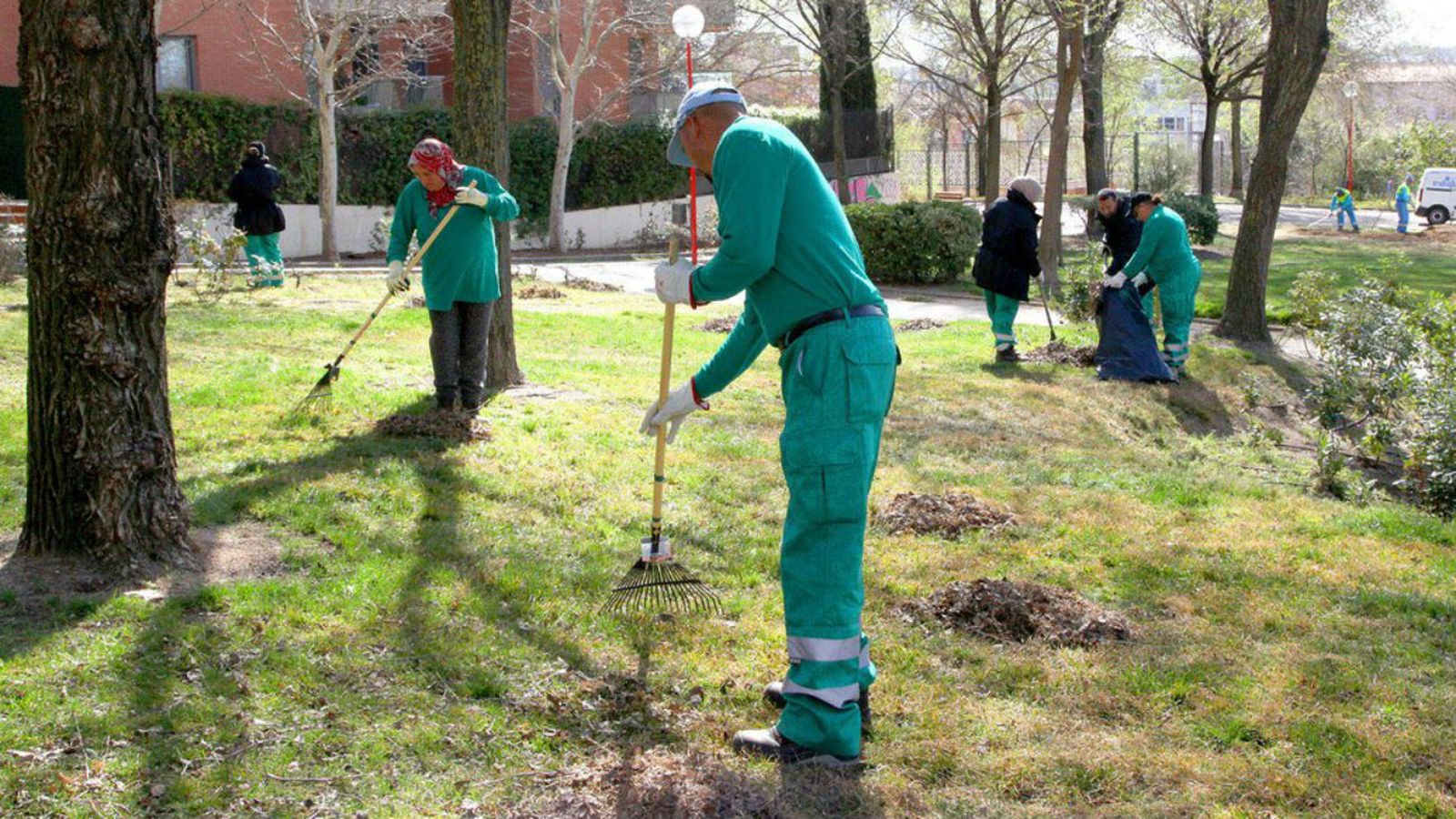Desempleados de Alcobendas limpian un jardín