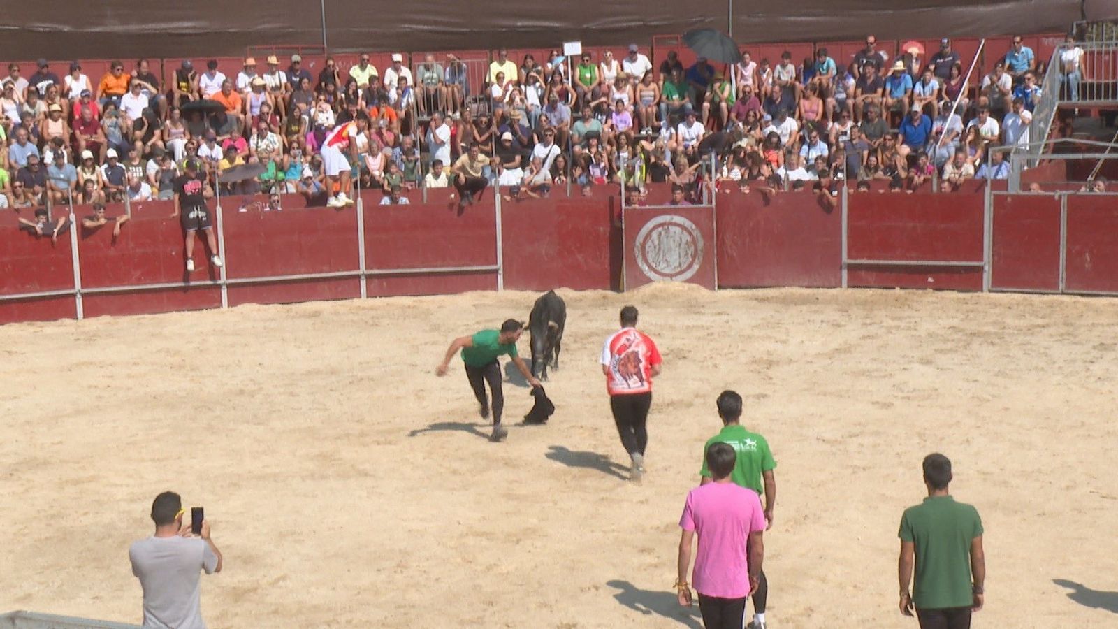 Robledo de Chavela celebra sus fiestas en honor al Santísimo Cristo de la Agonía con diferentes actividades