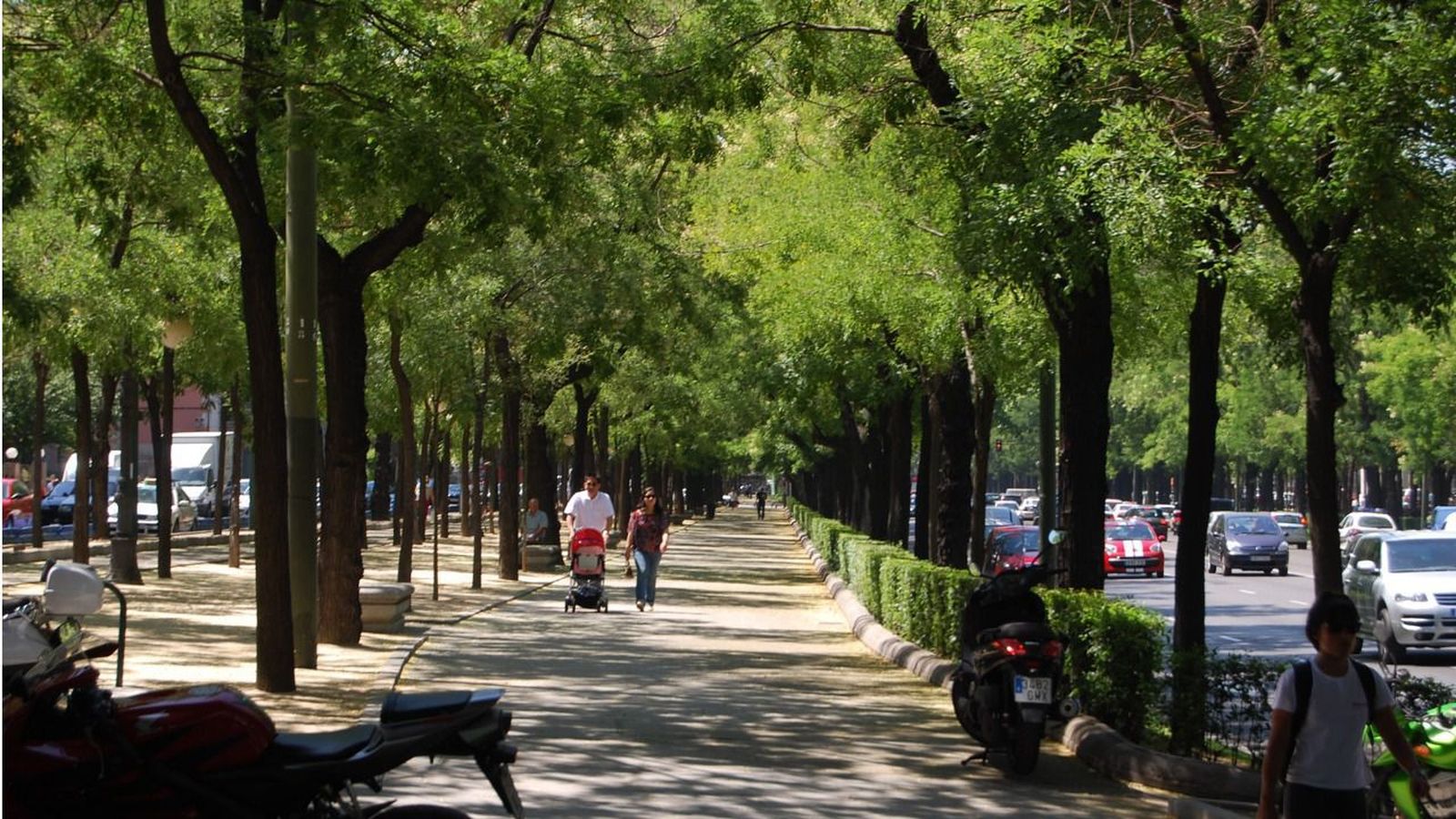 Los beneficios de los árboles urbanos
