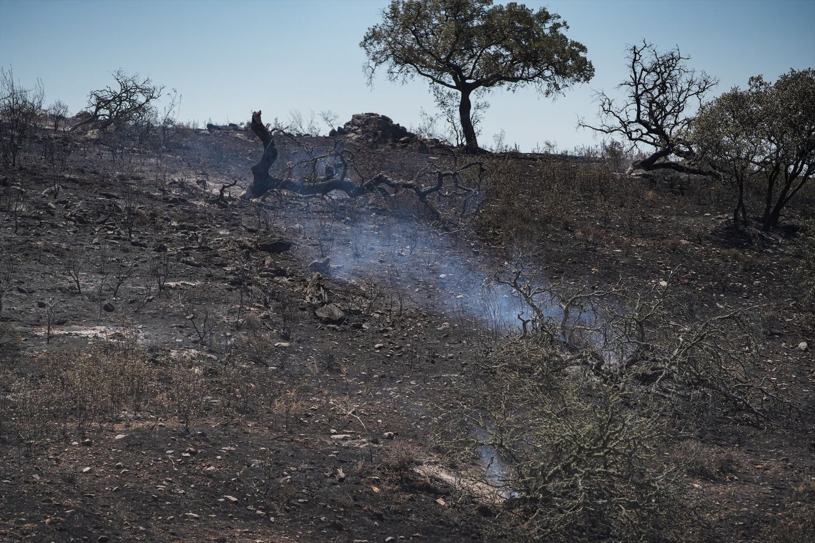 El fuego de Villanueva (Huelva) afecta ya a 3.600 hectáreas y se mantienen los desalojos