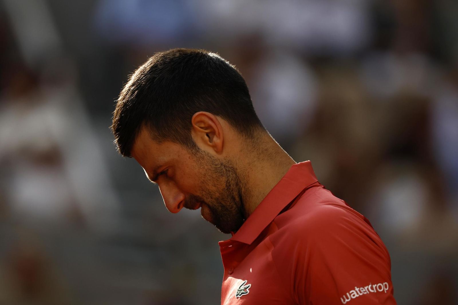 Djokovic