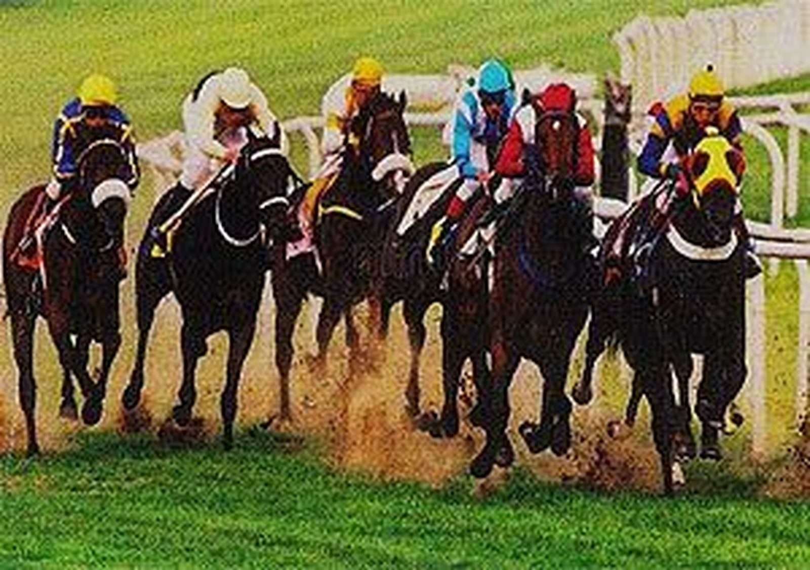 Las carreras de caballos vuelven a La Castellana el día 11
