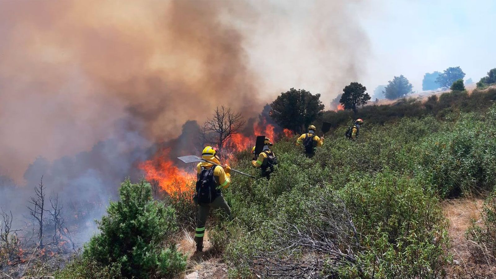 Se eleva a Nivel 2 el incendio forestal declarado en Robledo de Chavela