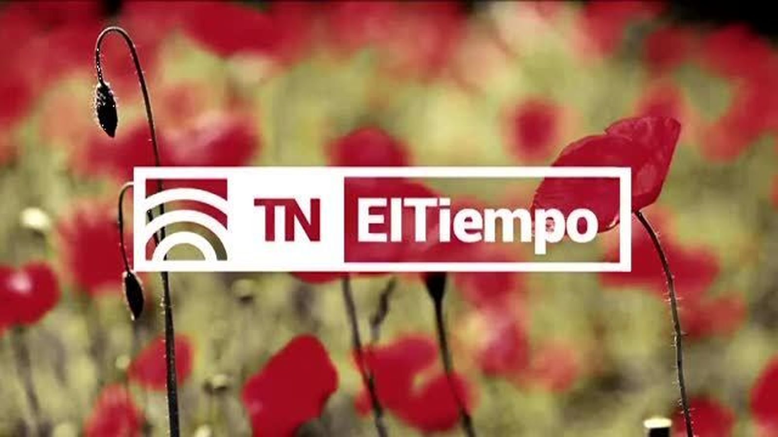 El Tiempo 1 11.11.2017