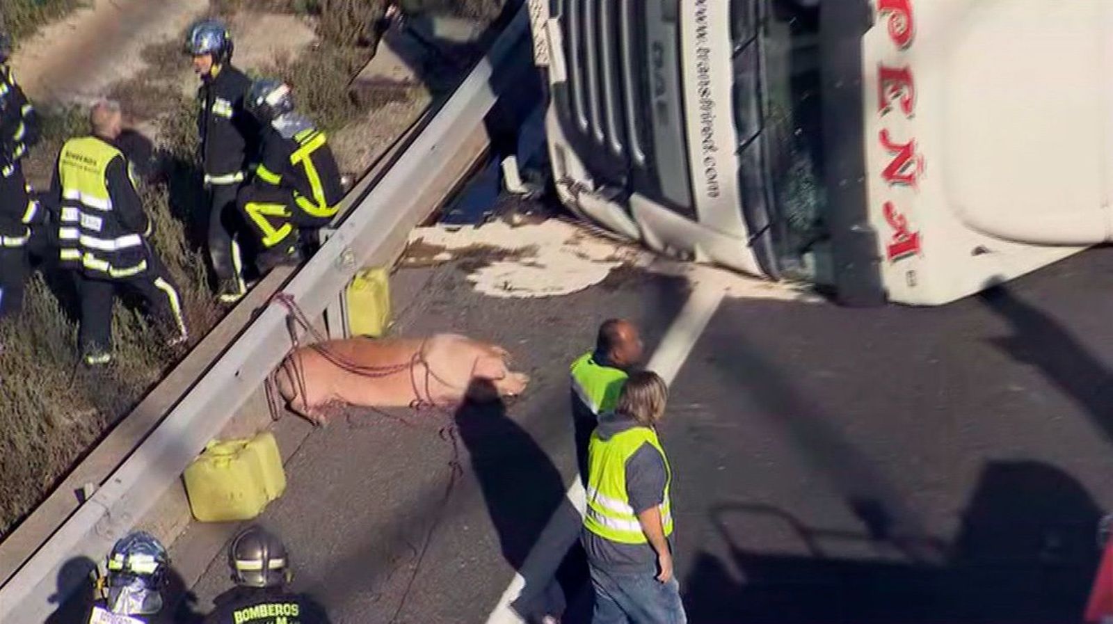 Un camión con cerdos vuelca en la A-6 y provoca grandes retenciones en la entrada a Madrid