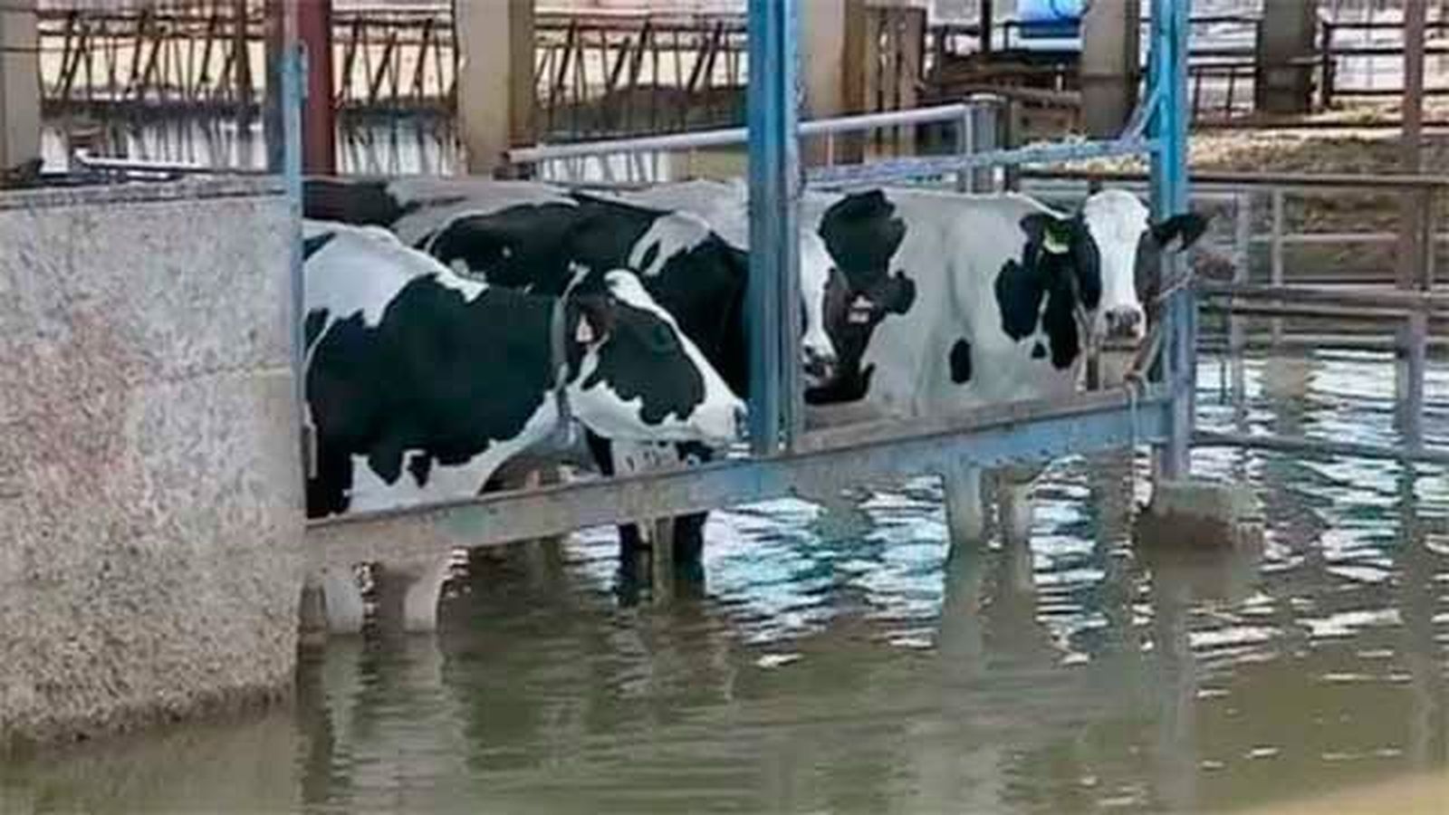 El Gobierno aragonés cree que lo peor ha pasado y rebaja el nivel de alerta