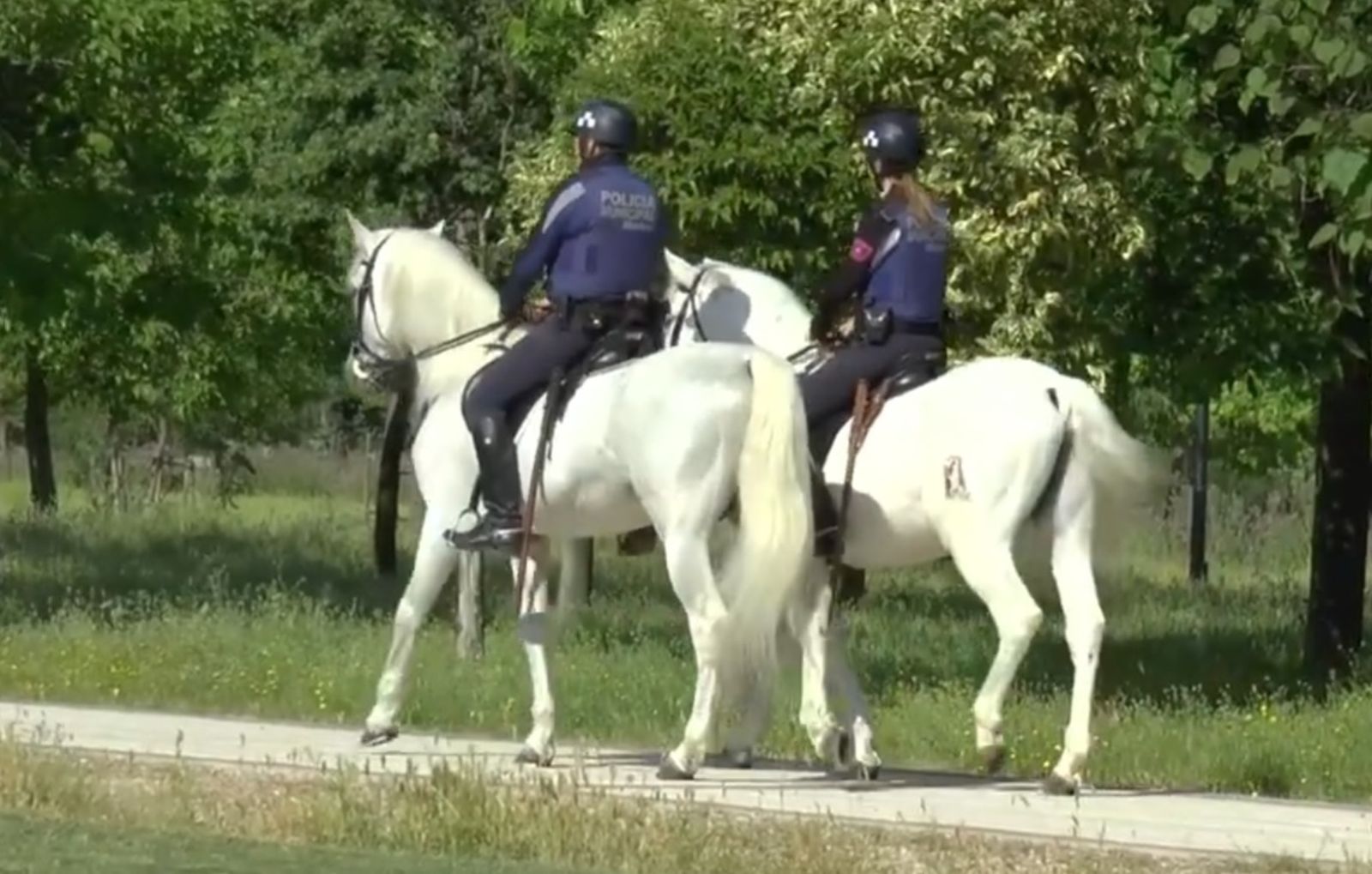 El PSOE quiere que los caballos que patrullan en el Retiro lleven pañales