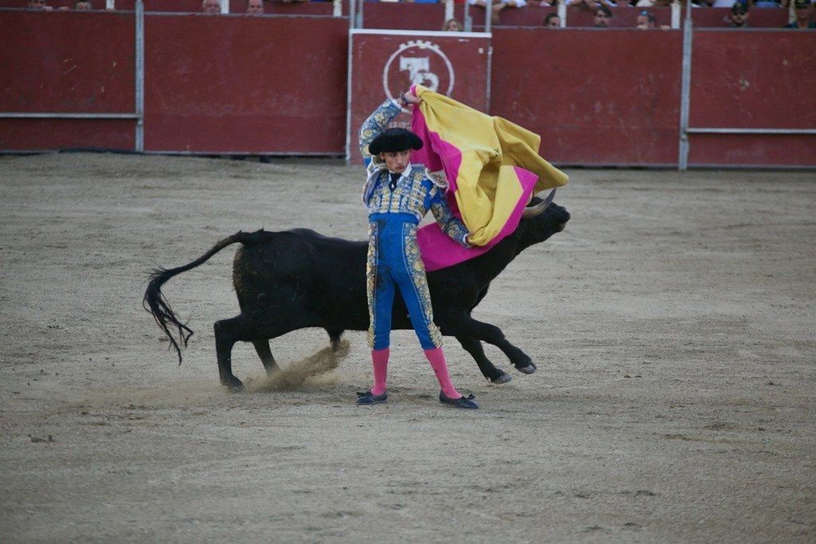 El Palacio de Cibeles acoge el I Congreso de Tauromaquia 'Villa de Madrid'