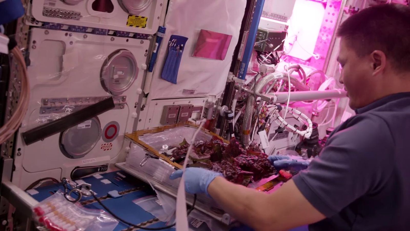 Cultivo de plantas en el espacio