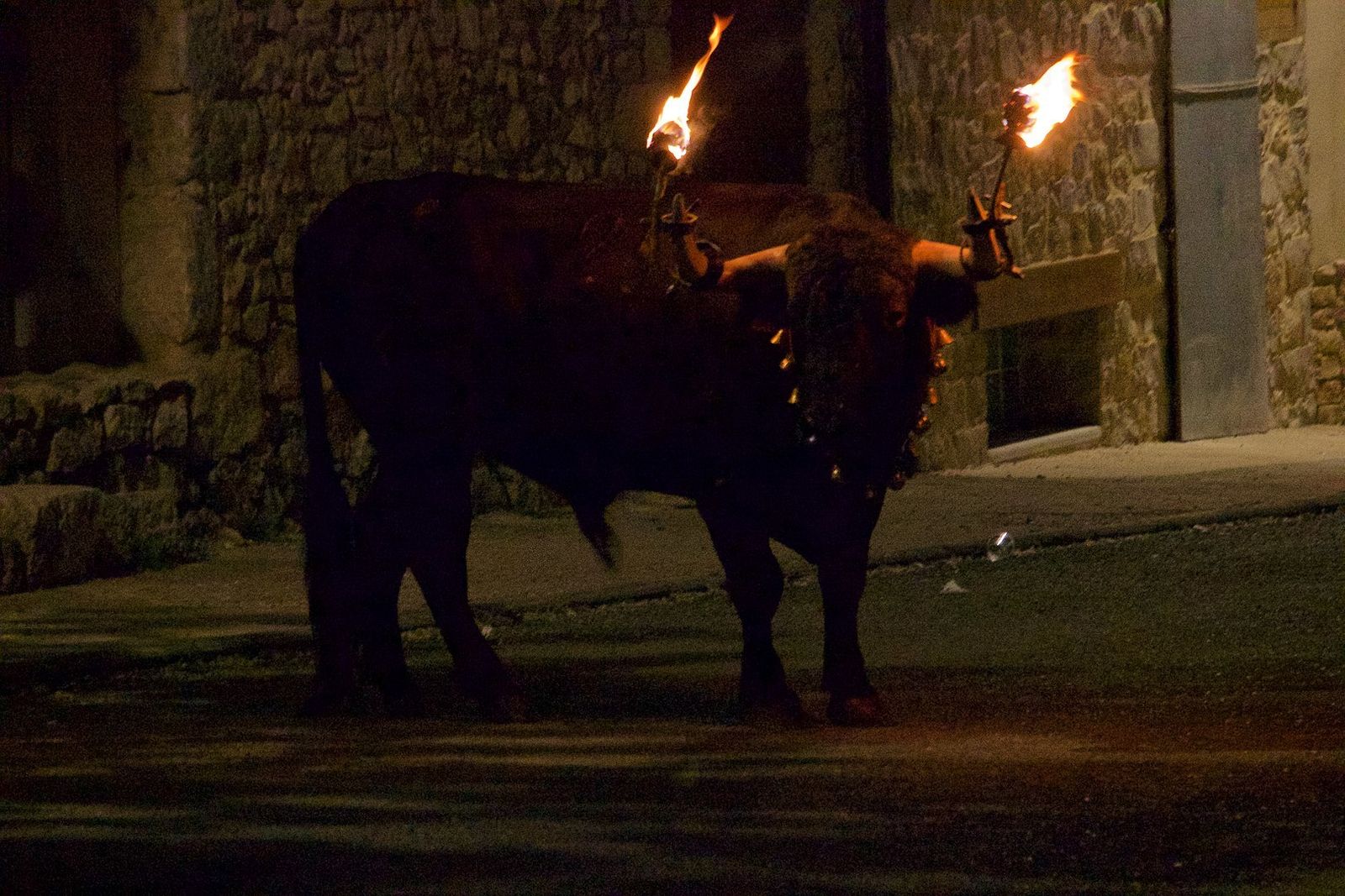 Imagen de archivo de un toro embolado