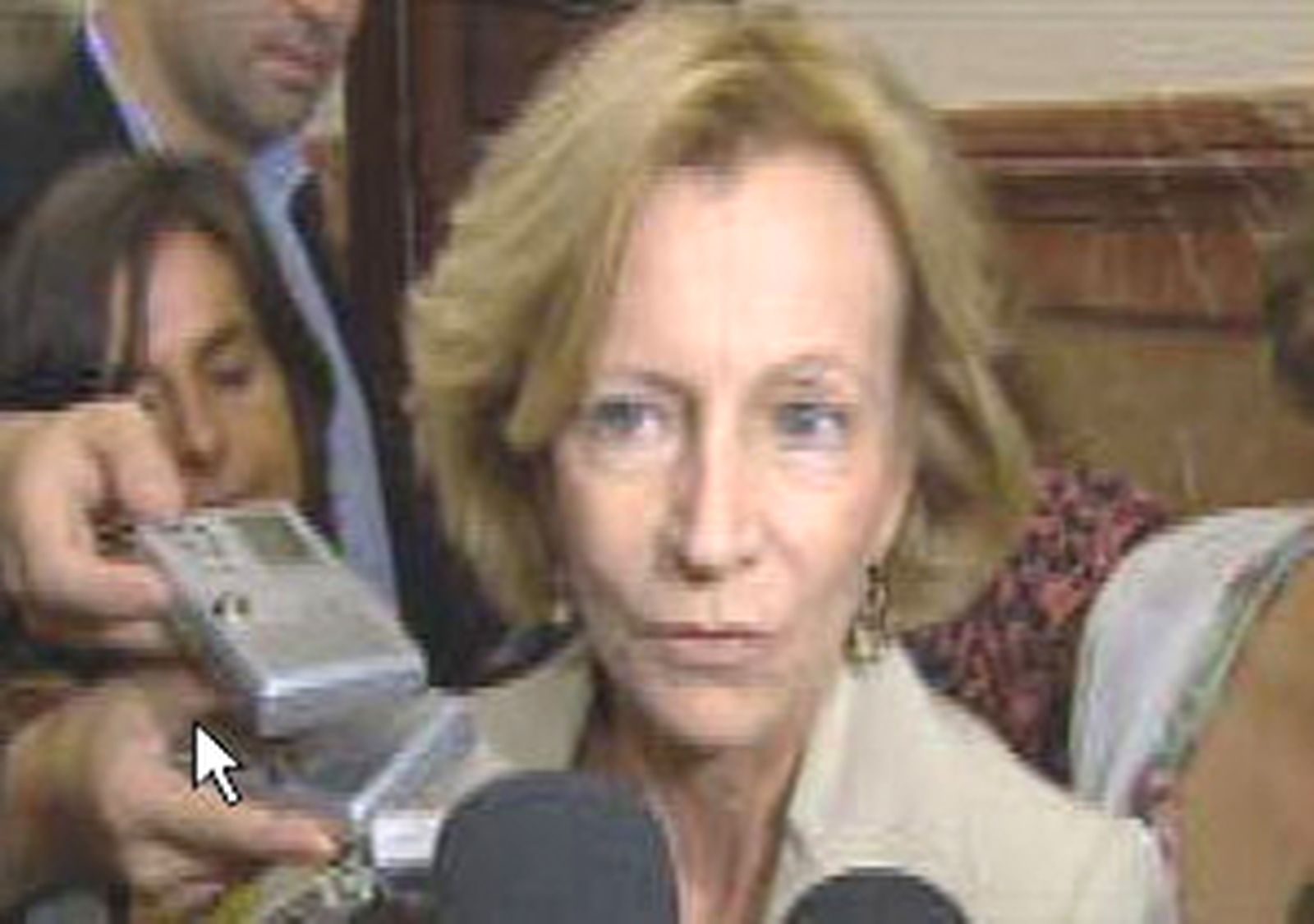 Salgado en los pasillos del Congreso