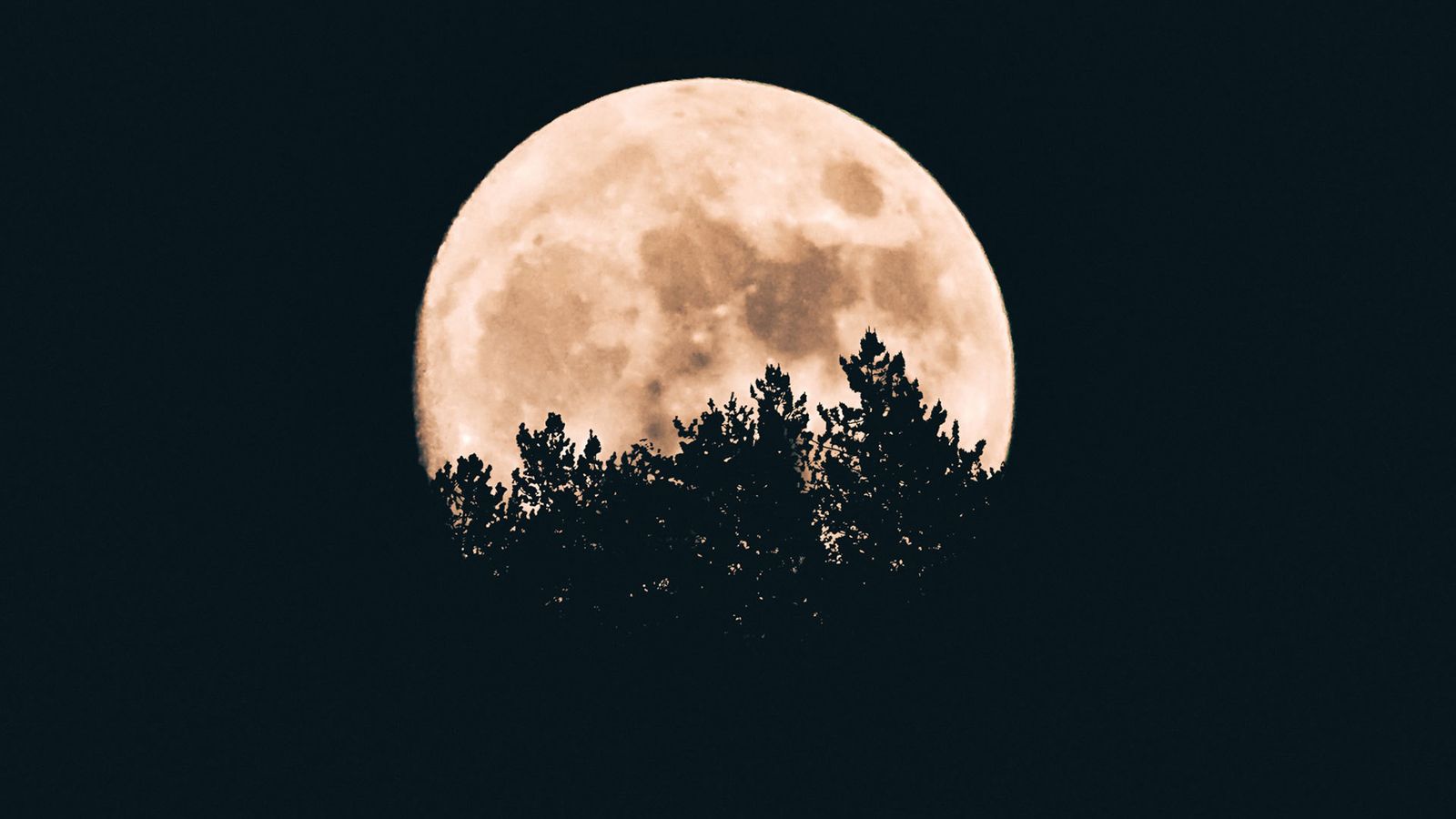 La luna llena