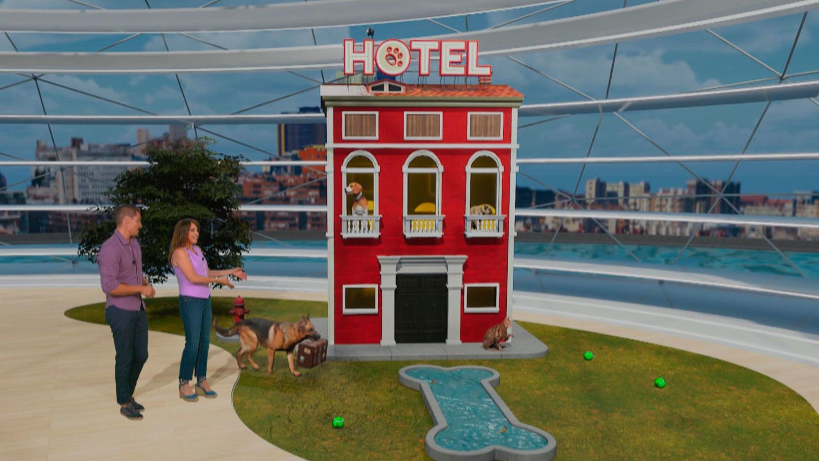 Un hotel de lujo para tu mascota en Belmonte del Tajo
