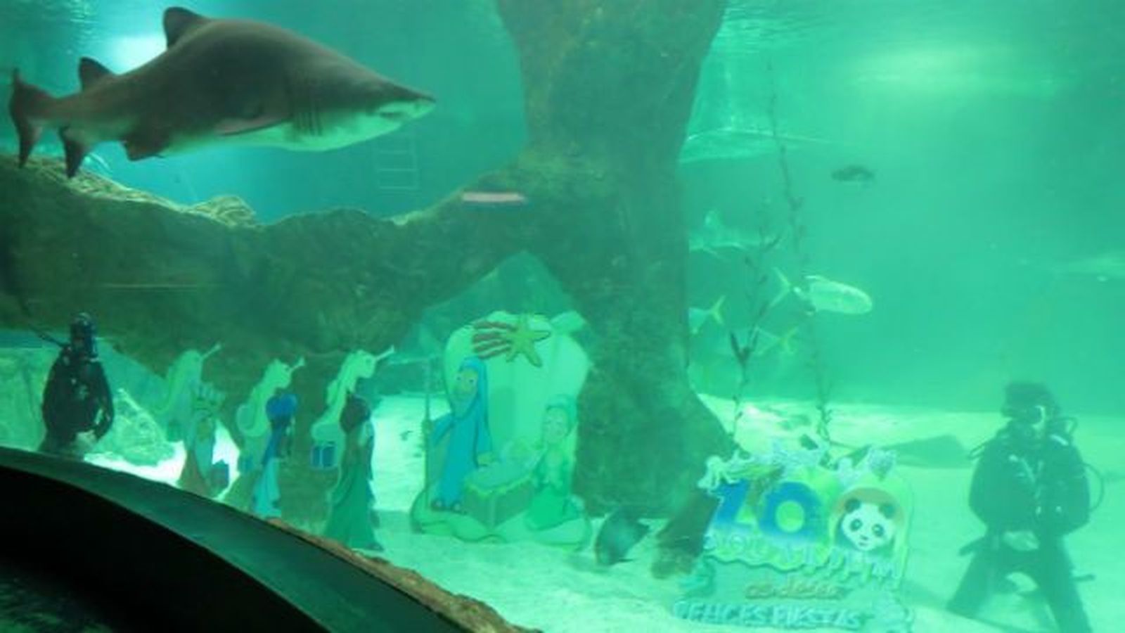 El Aquarium del Zoo acoge el tradicional Belén acuático de tiburones