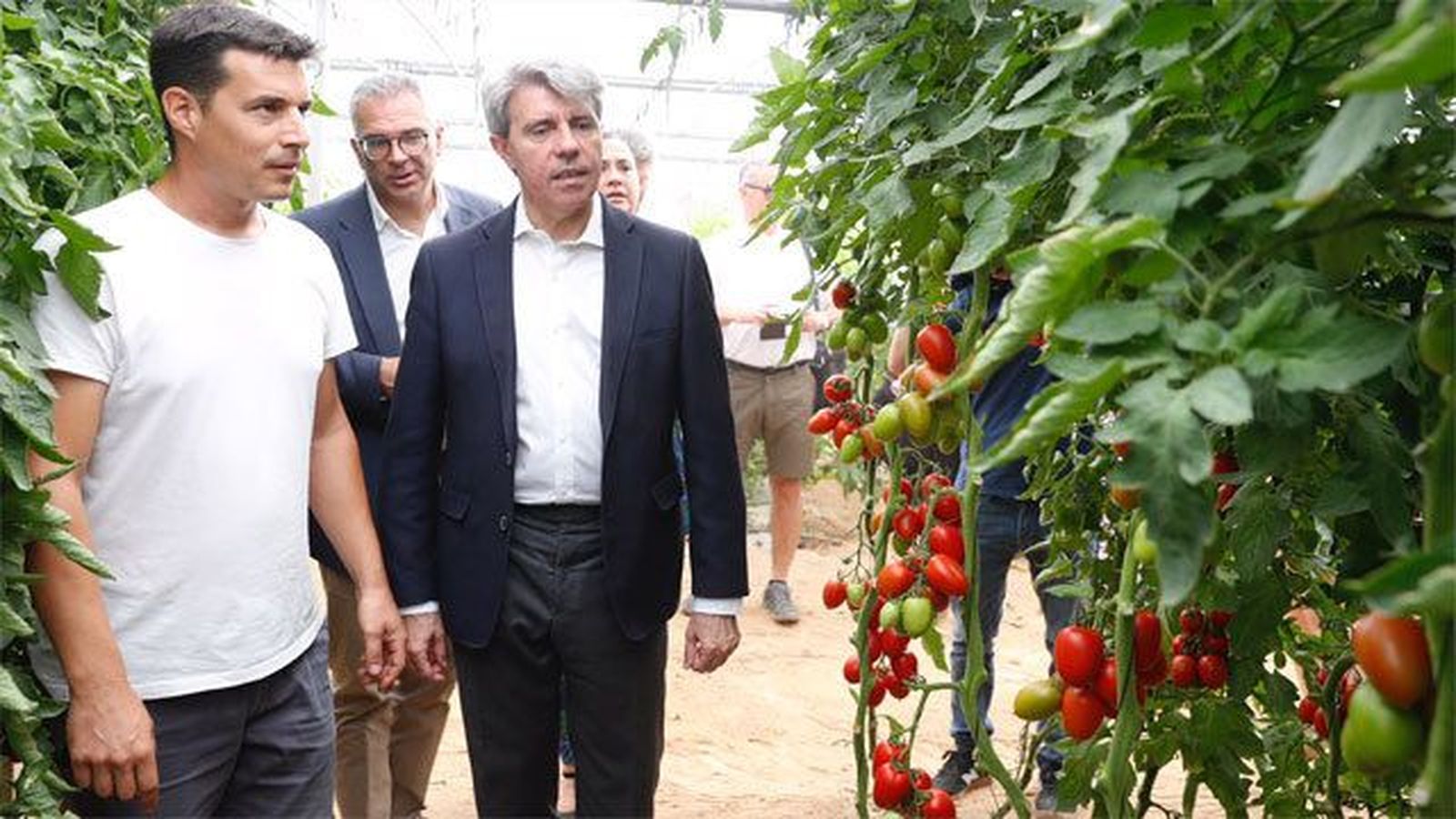 La Comunidad batió en 2017 su récord de exportaciones alimentarias, al superar los 1.500 millones