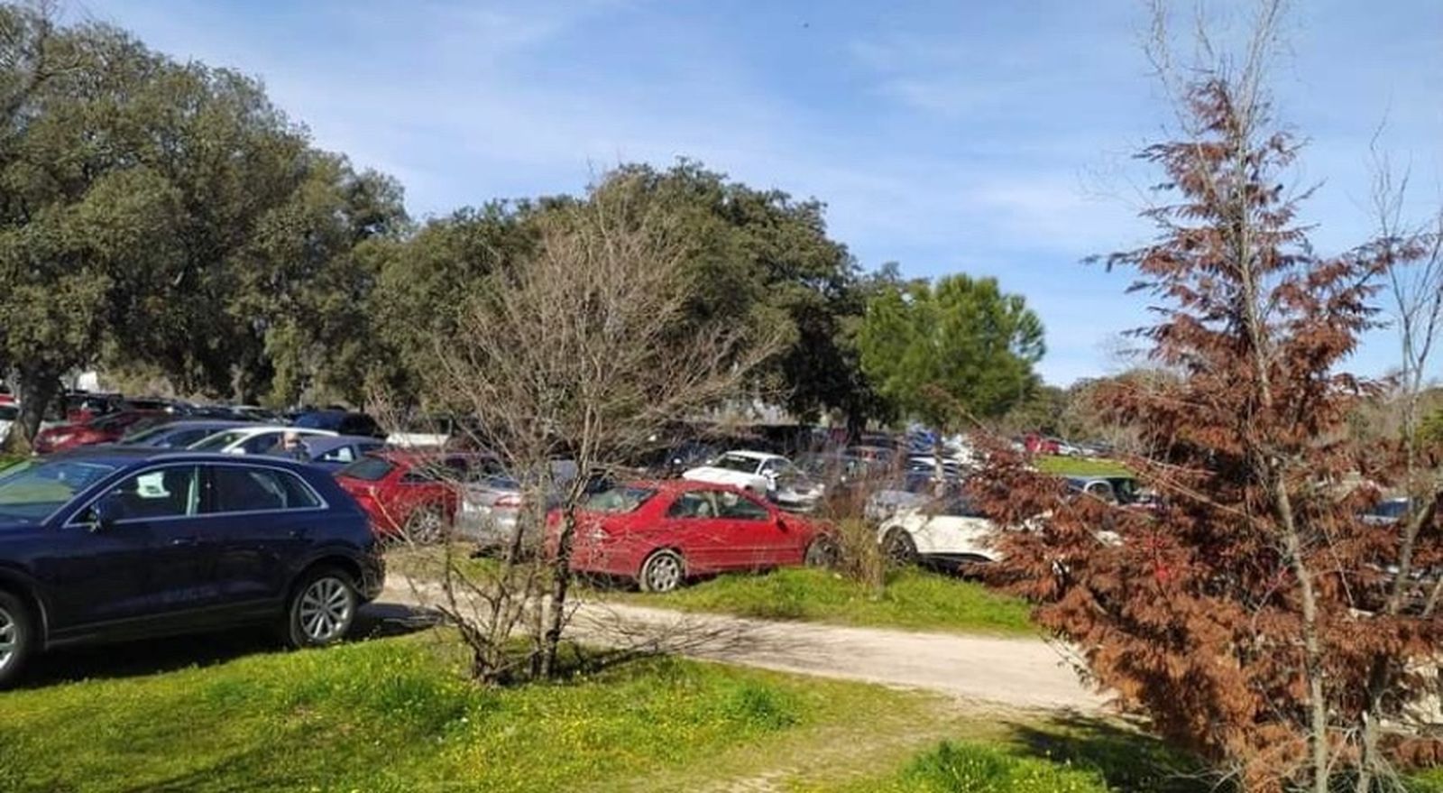 Vehículos estacionados fuera de los aparcamientos habilitados en El Pardo