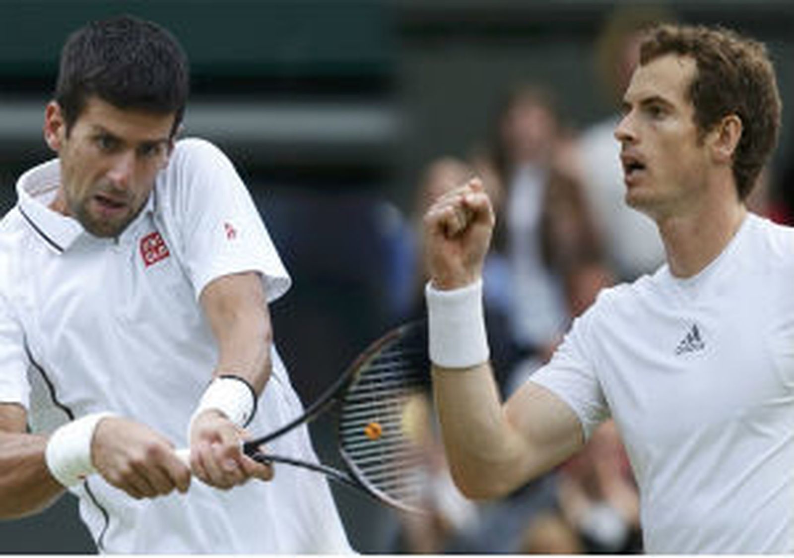 Djokic ante Murray