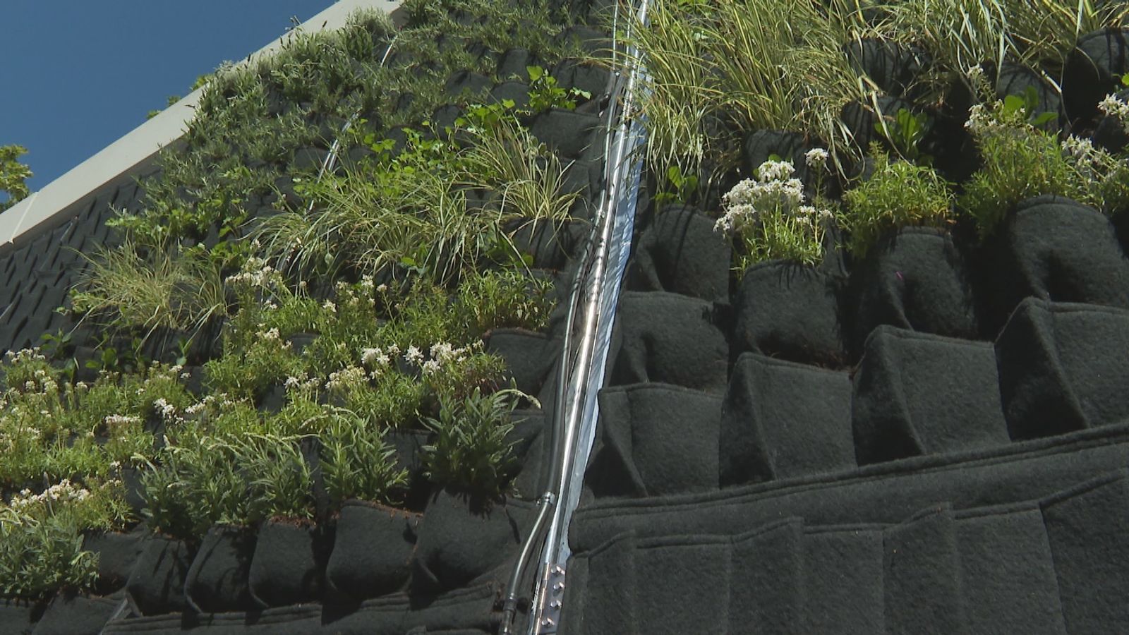 Jardines verticales en la M-30