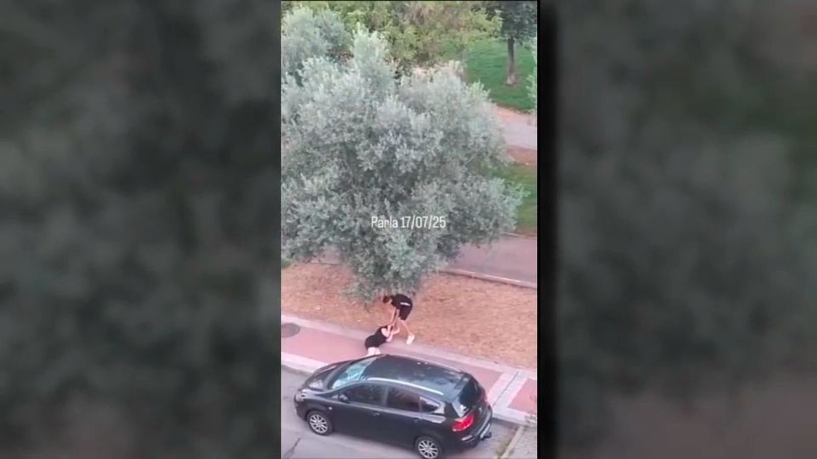 Vox denuncia la inseguridad en Parla: aseguran que han aumentado los robos y la violencia