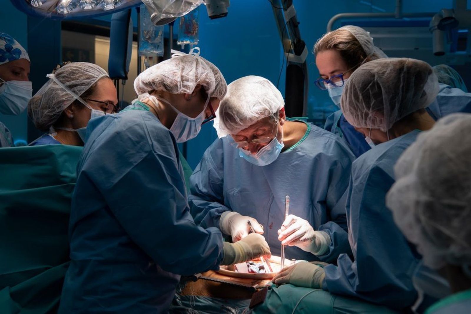 Imagen del equipo que ha conseguido el primer transplante de útero con donante vivo en España