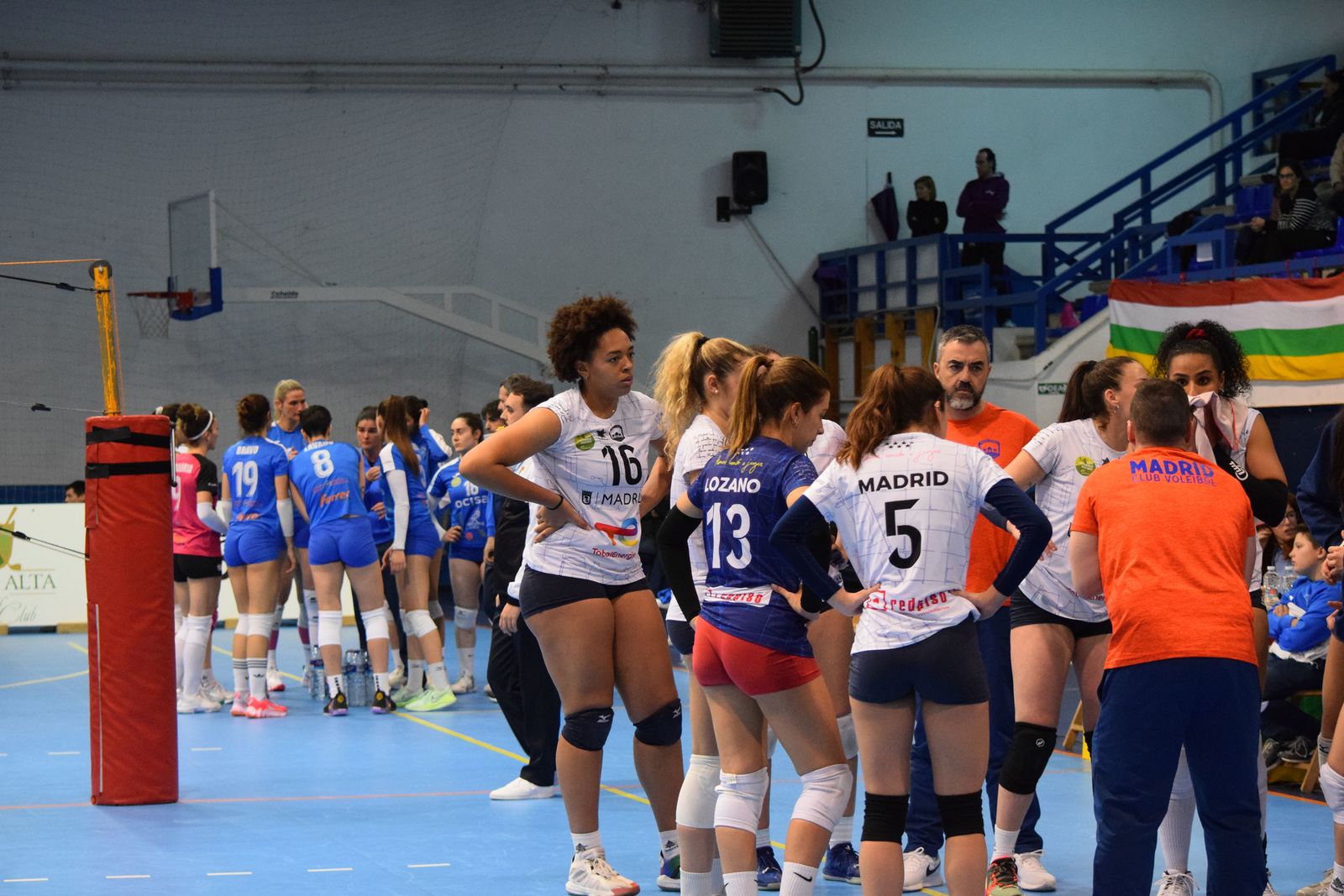 Voleibol Madrid