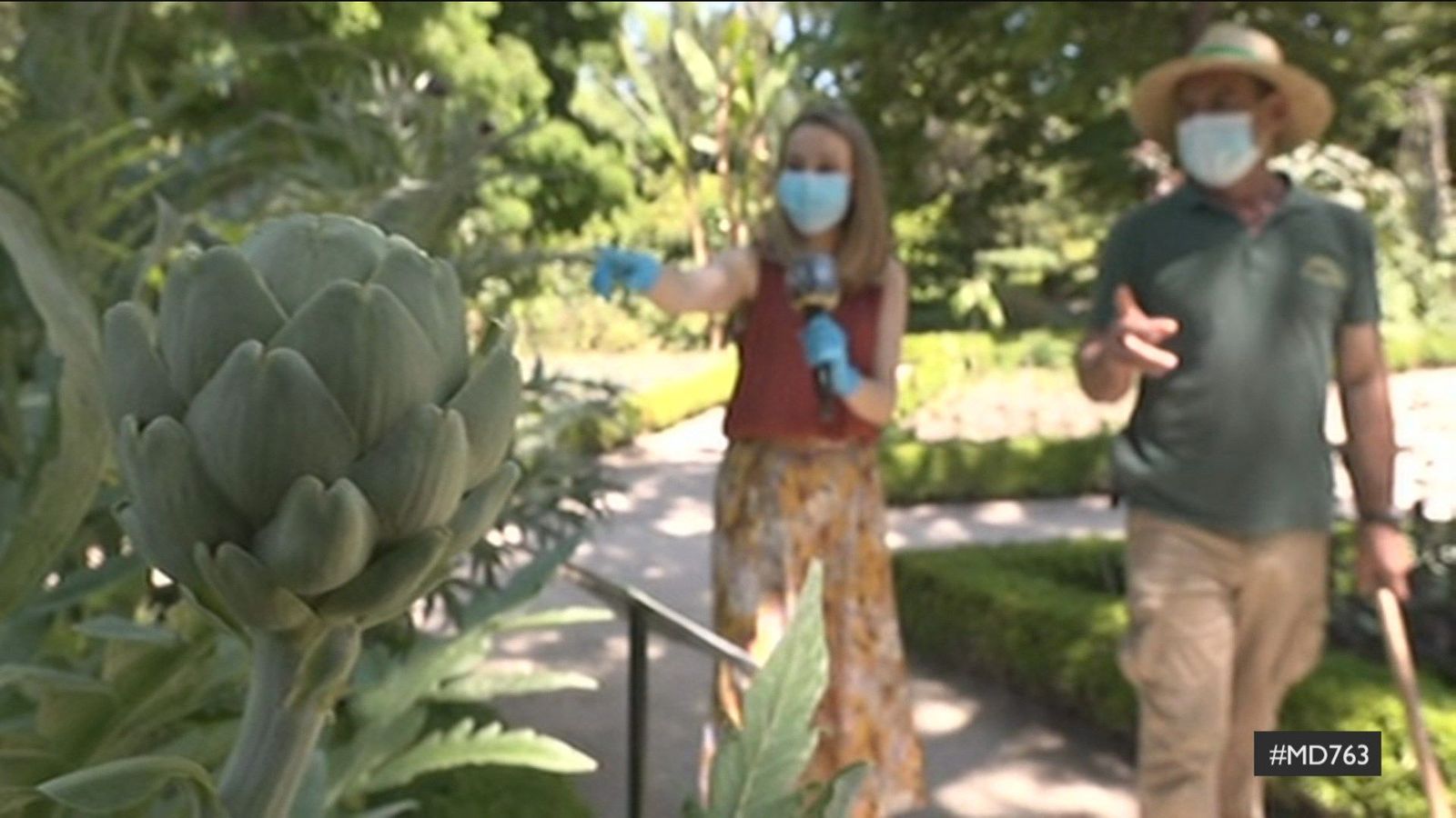 El Jardín Botánico se prepara para su reapertura