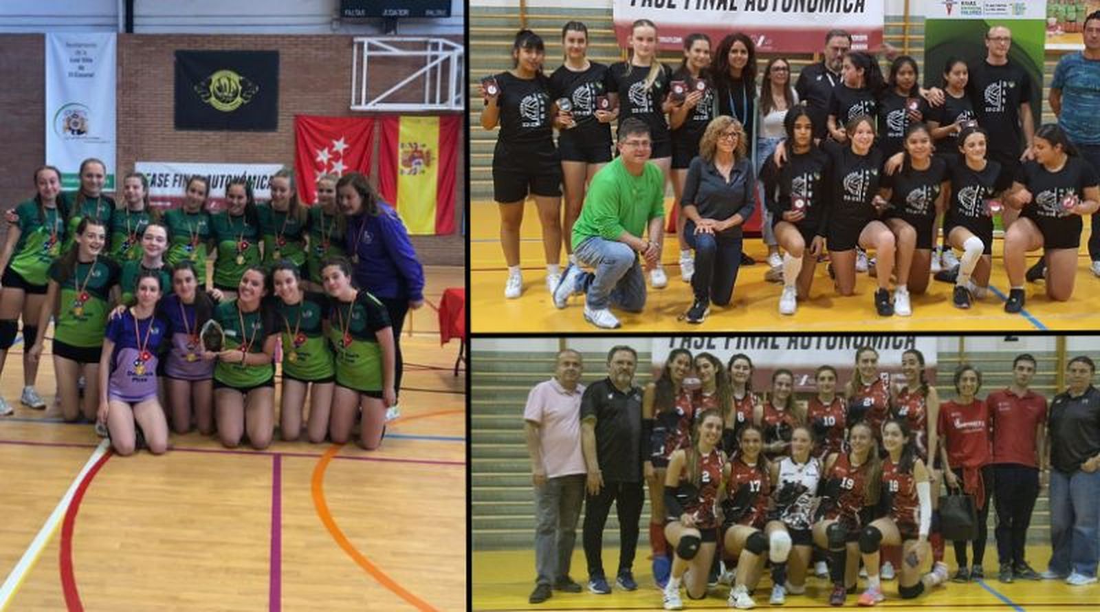 Campeones de 3ª División de voleibol