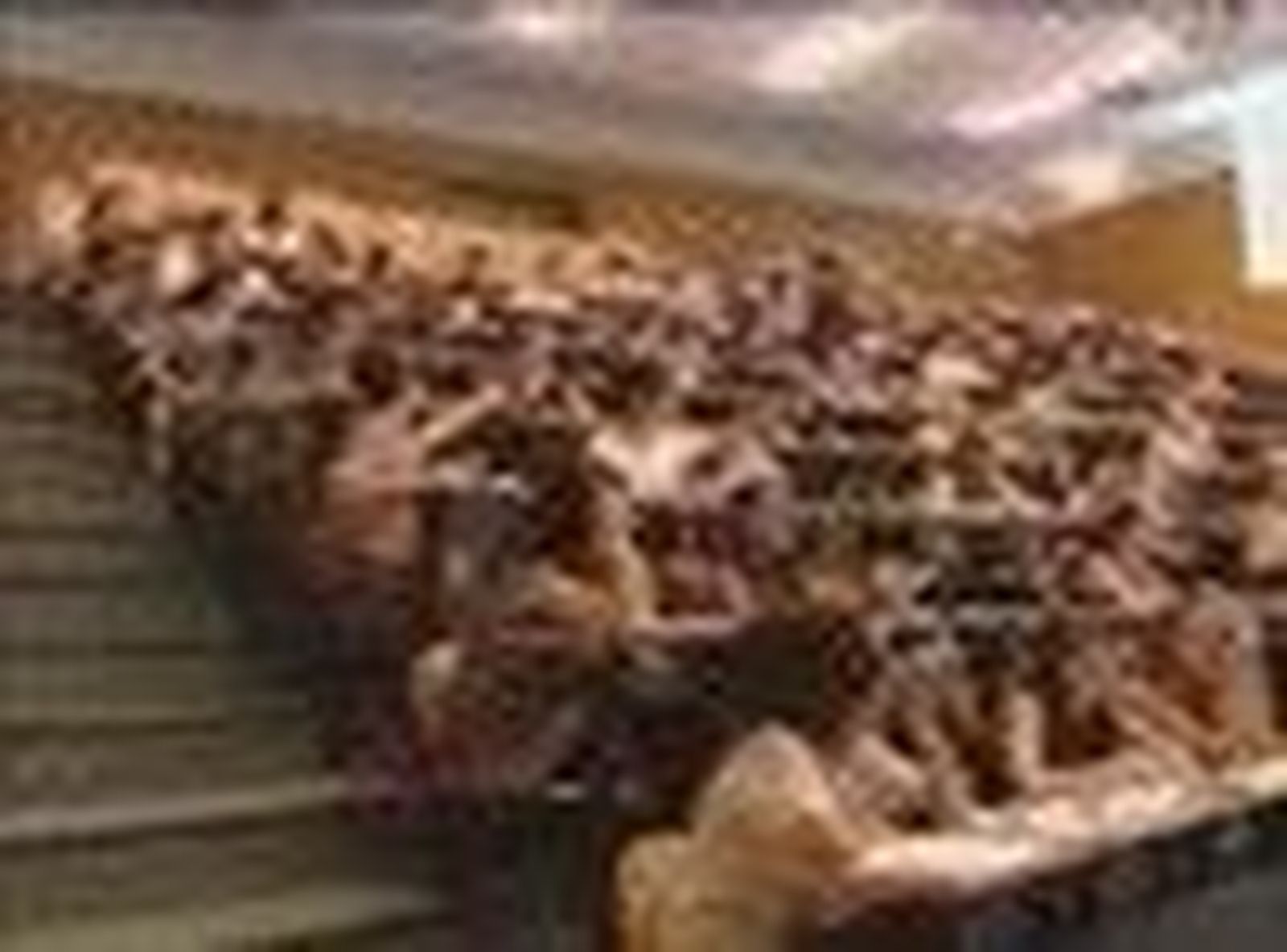 admitidos_2010720V0.wmv