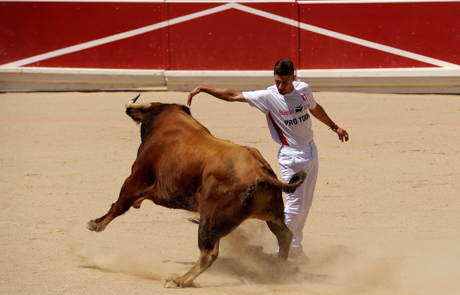 Imagen de un recortador