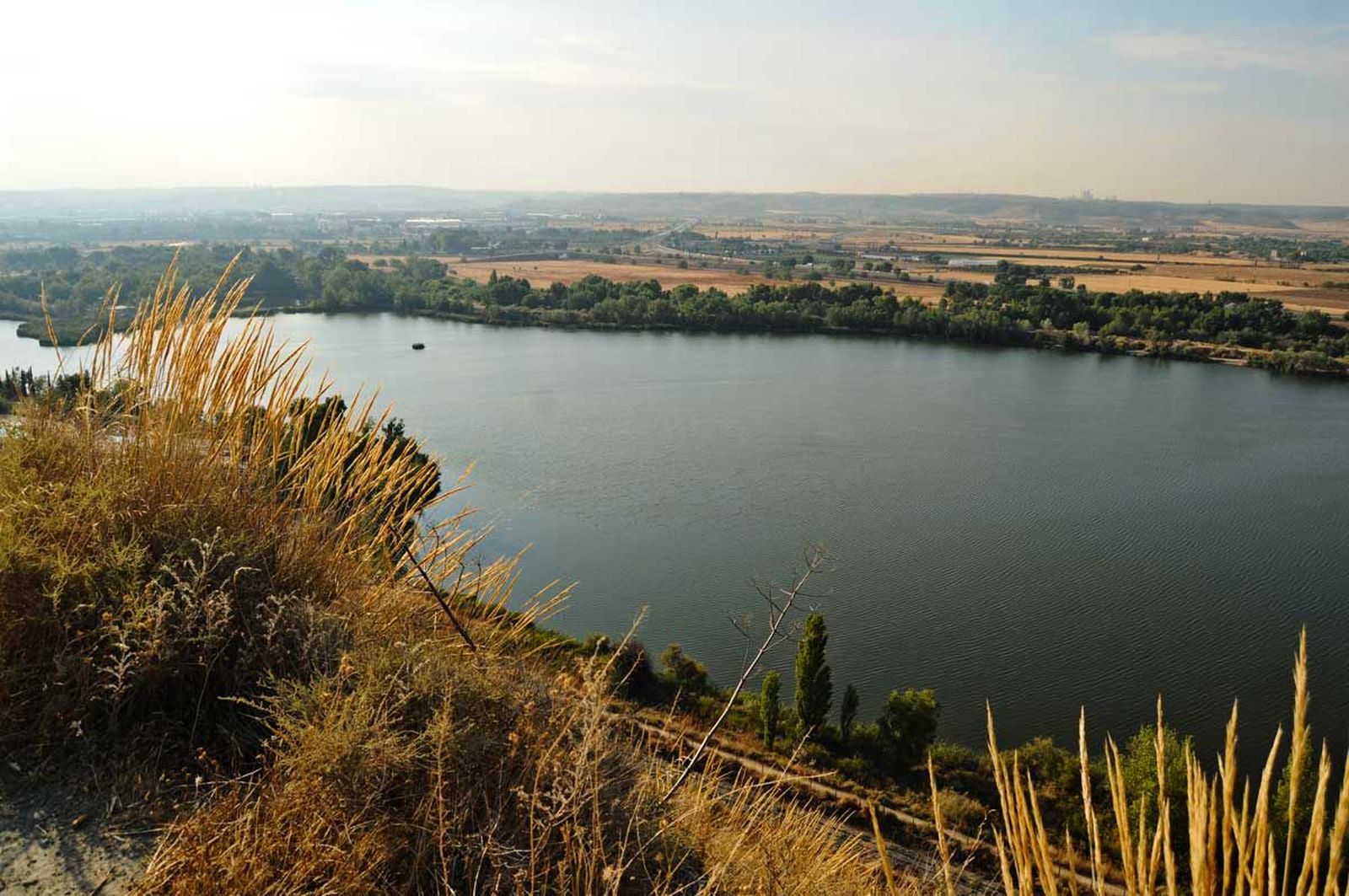 Laguna del Campillo