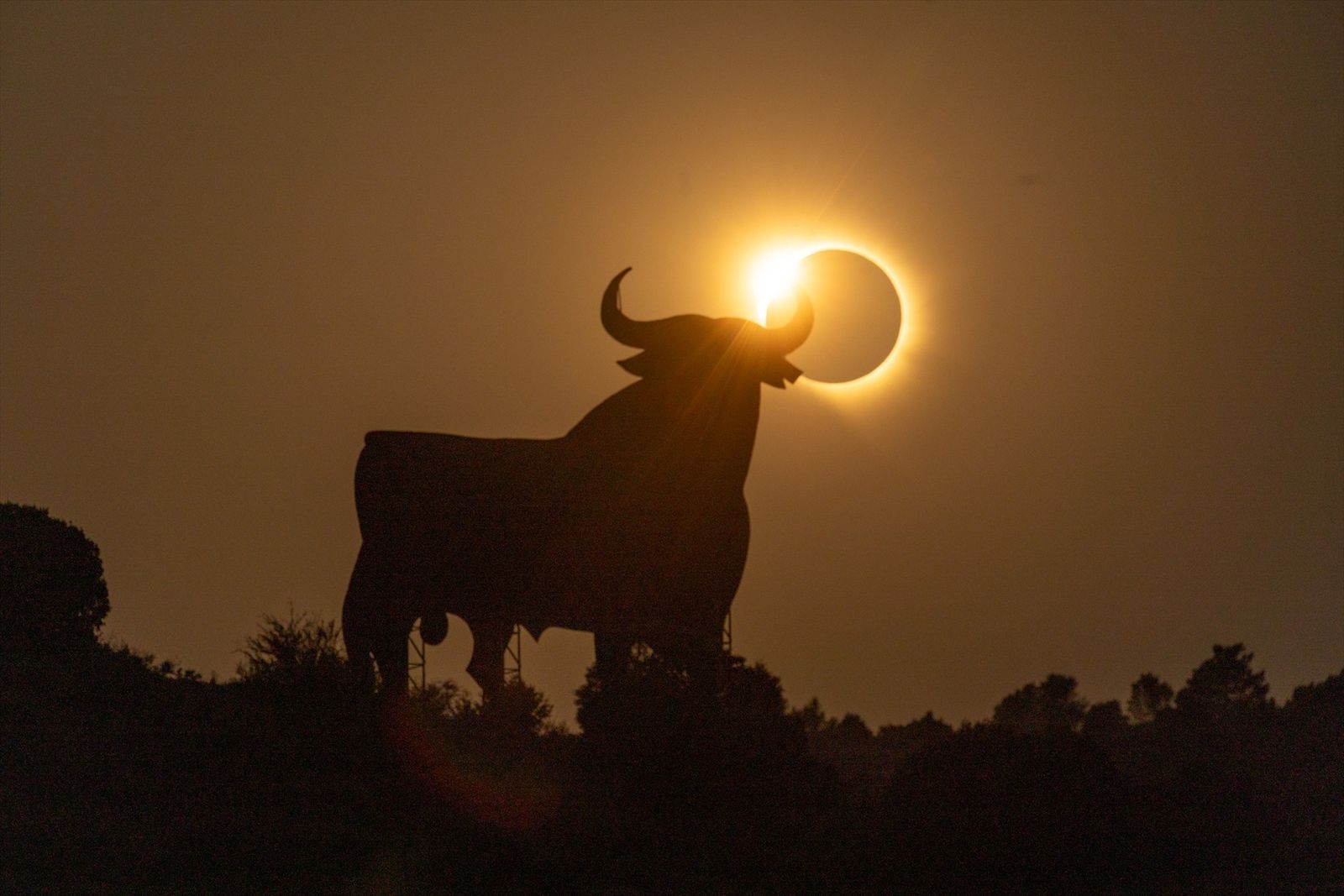 El toro de Osborne de Calatayud durante el eclipse solar total de 2026